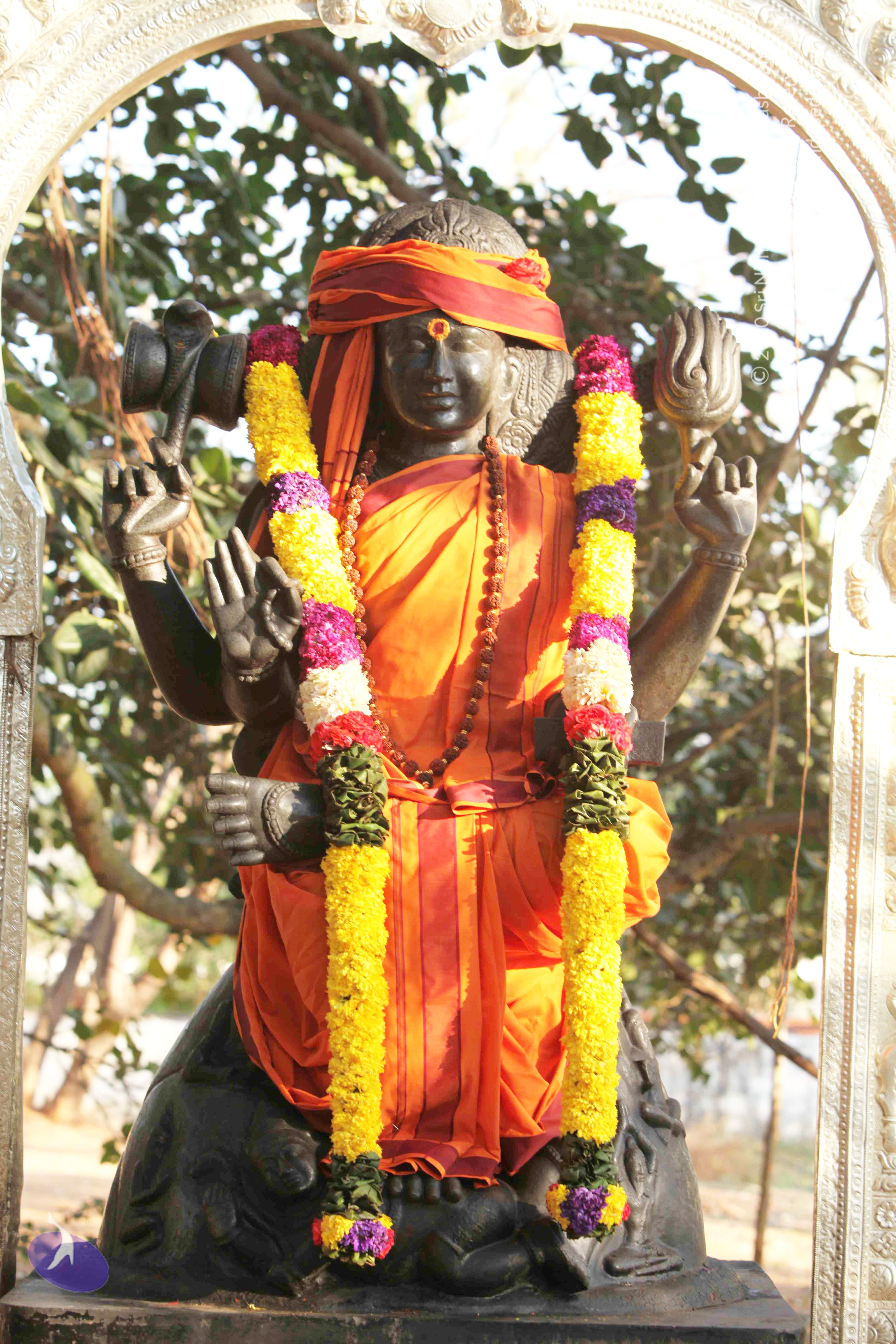 20110121_Photo_1189_IMG_2066_CMP_WM