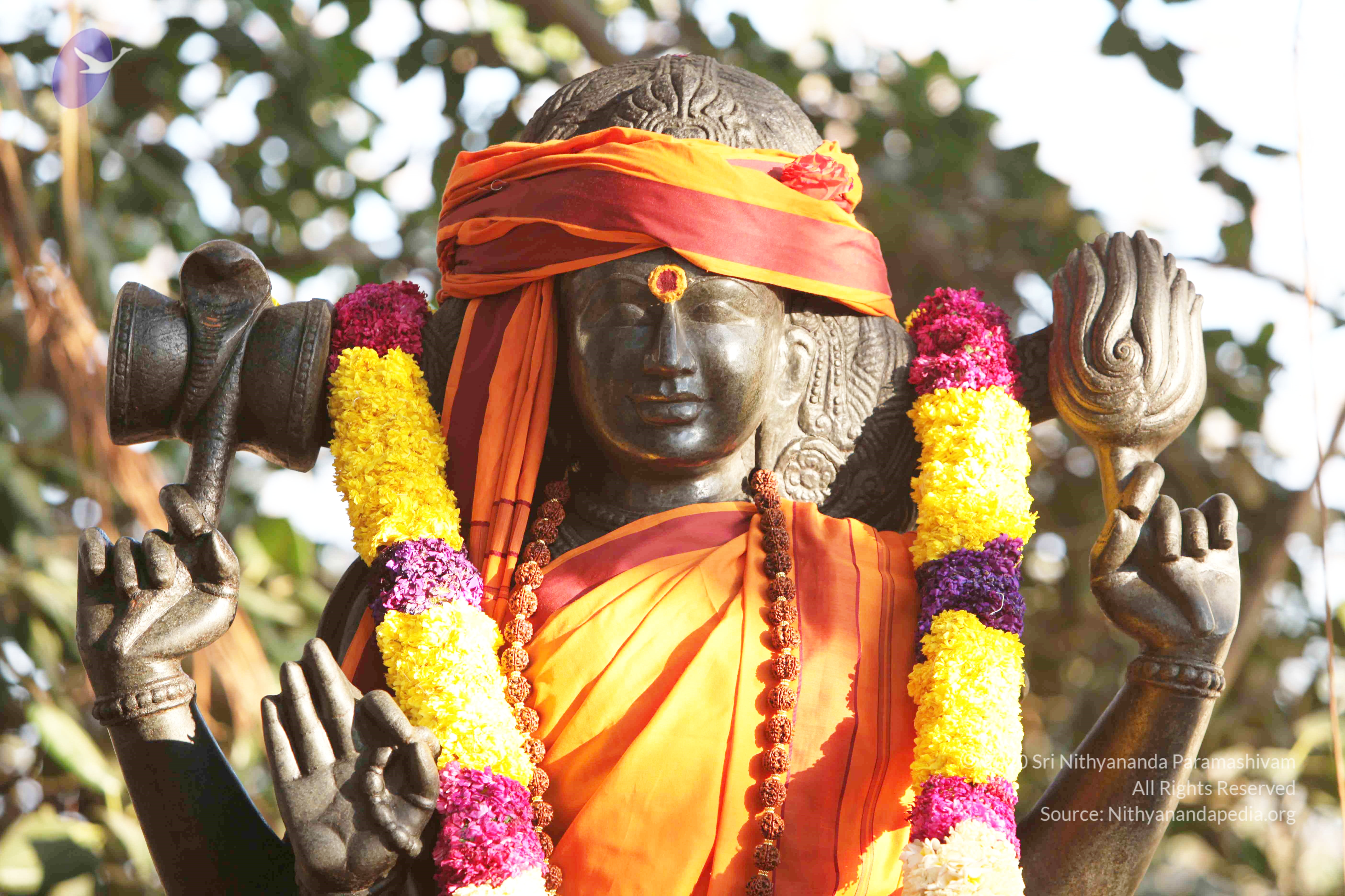 20110121_Photo_1192_IMG_2077_CMP_WM