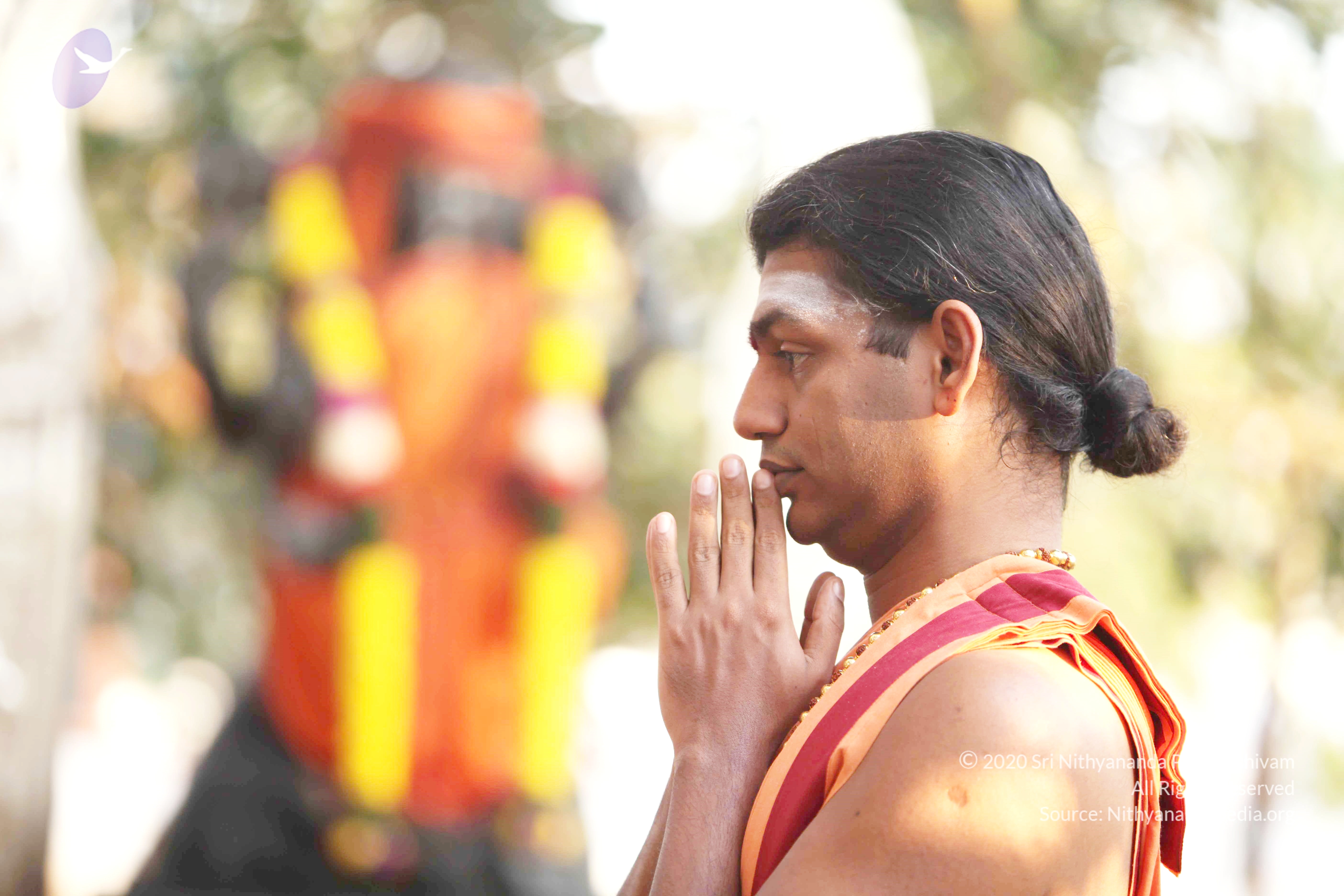 20110121_Photo_1196_IMG_1895_CMP_WM