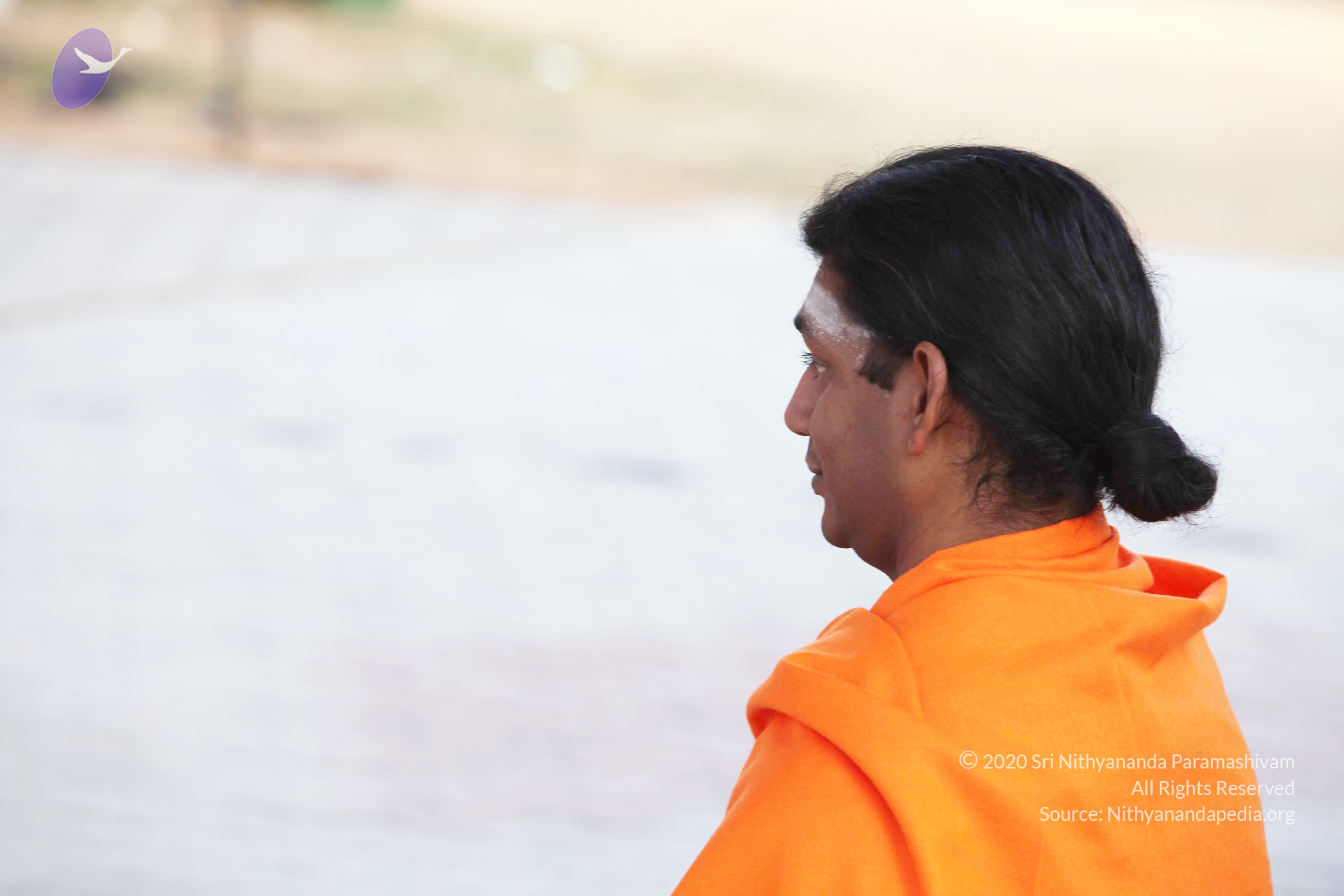 20110121_Photo_1199_IMG_1937_CMP_WM