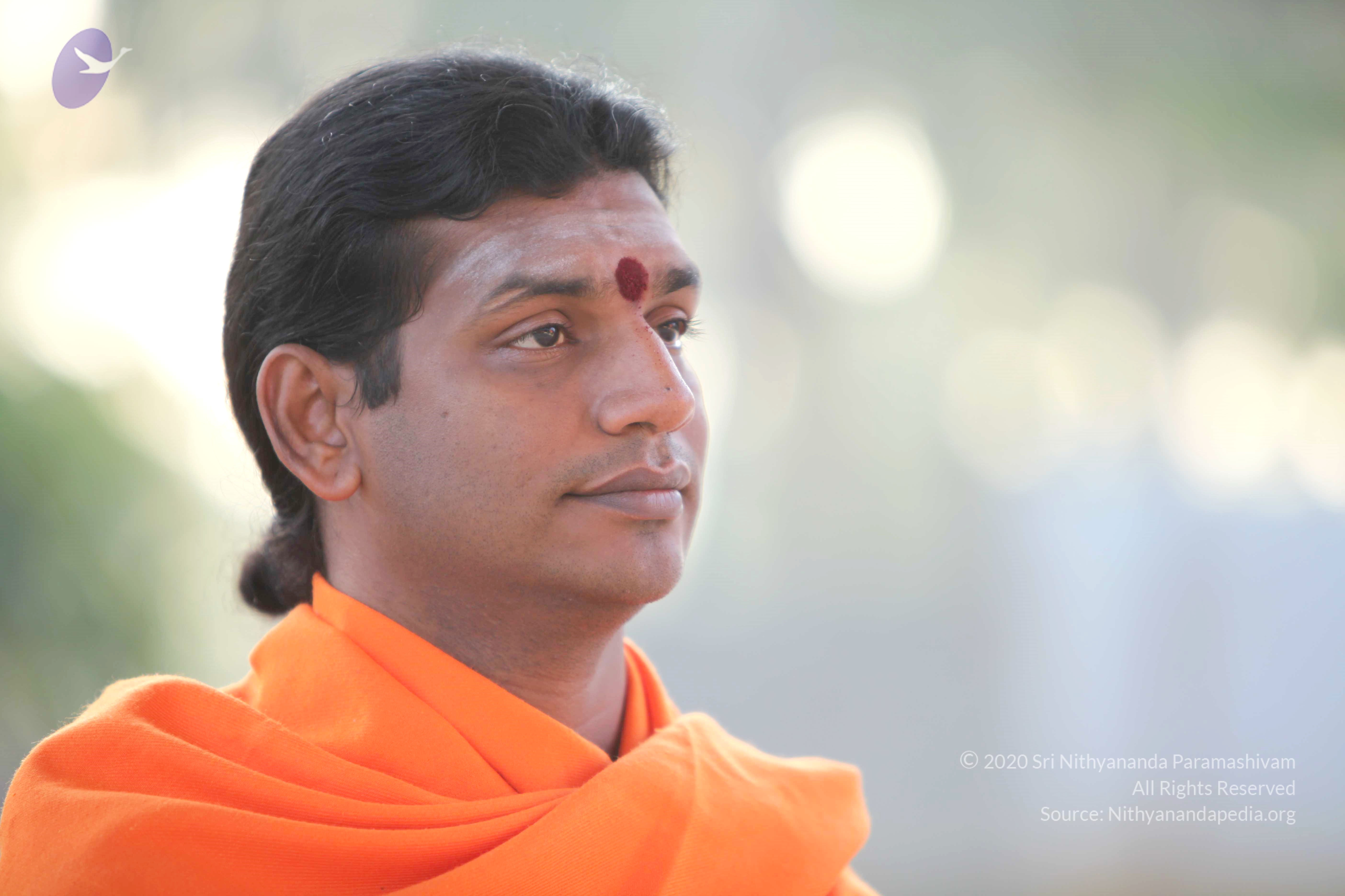 20110121_Photo_1204_IMG_1962_CMP_WM