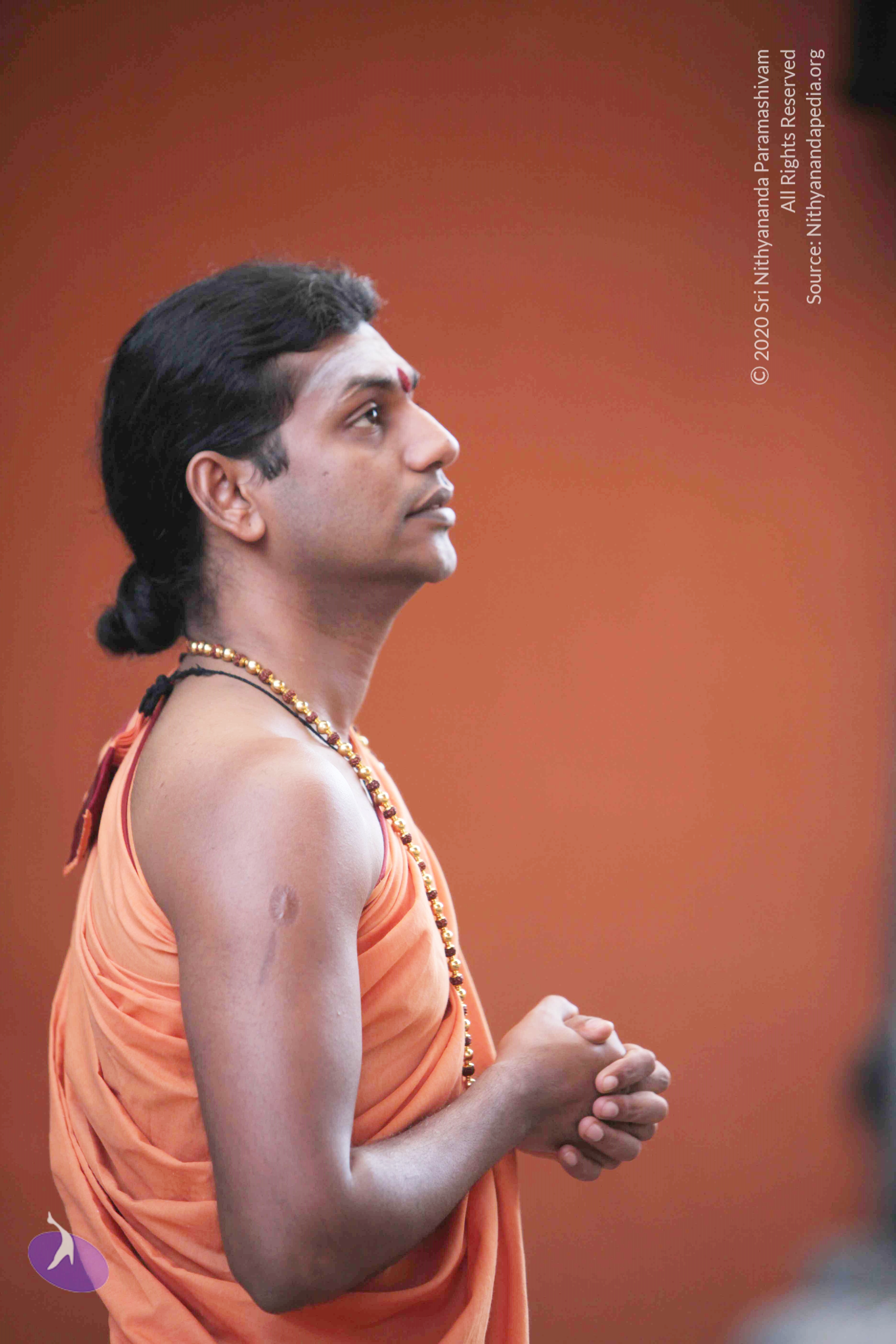 20110121_Photo_1212_IMG_1858_CMP_WM