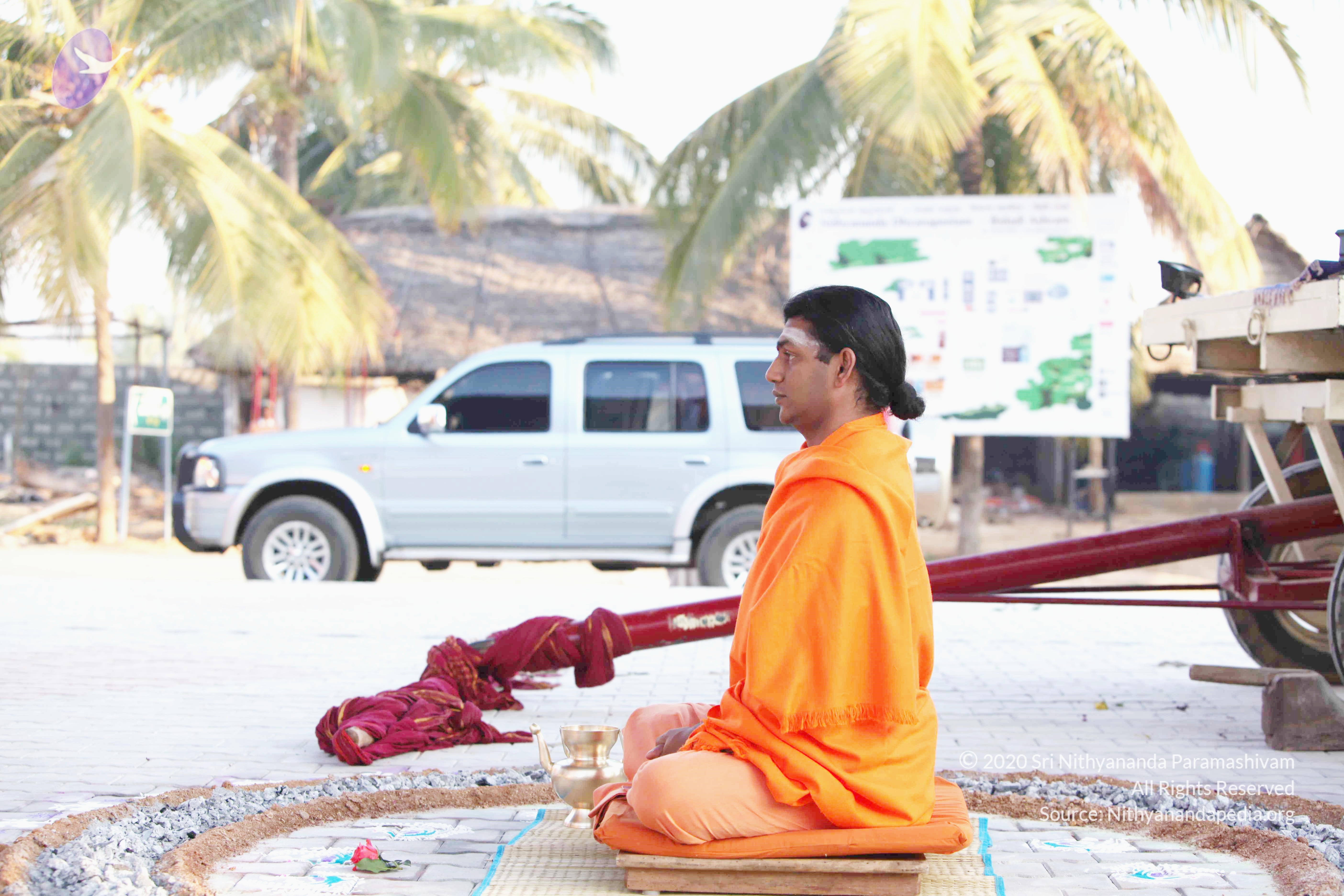 20110121_Photo_1217_IMG_1932_CMP_WM