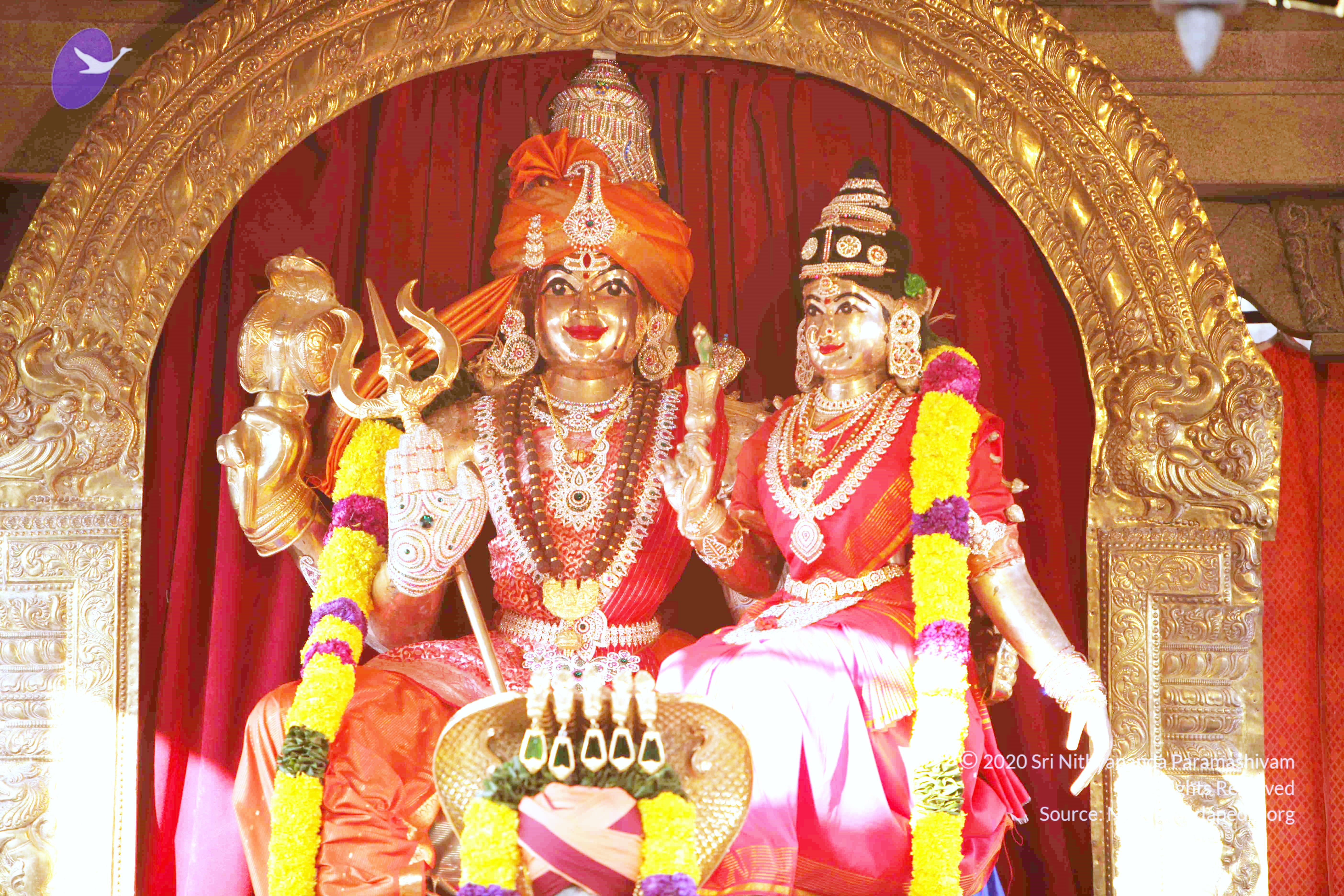 20110121_Photo_1218_IMG_2059_CMP_WM