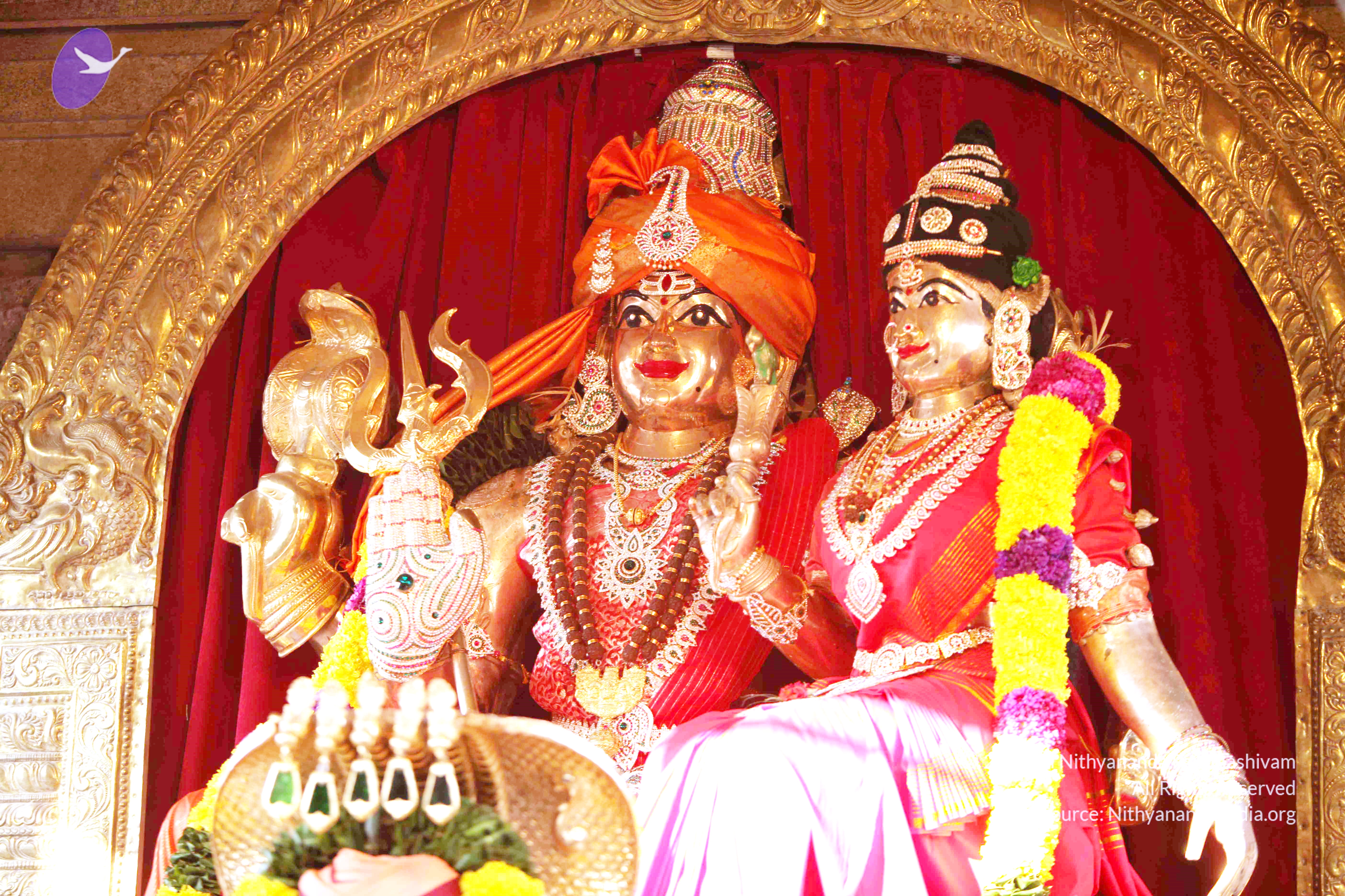 20110121_Photo_1233_IMG_2063_CMP_WM