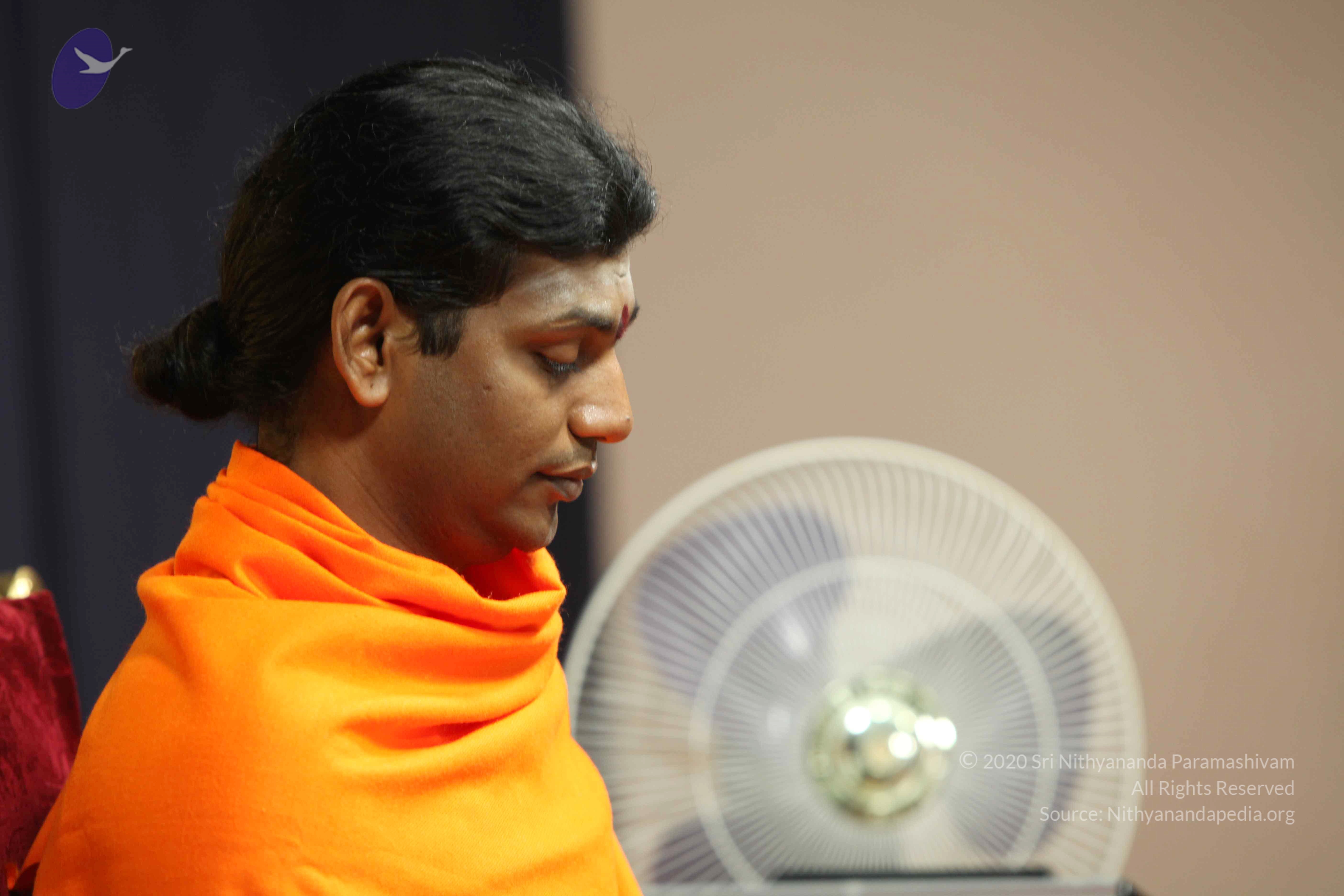 20110121_Photo_1013_IMG_2165_CMP_WM