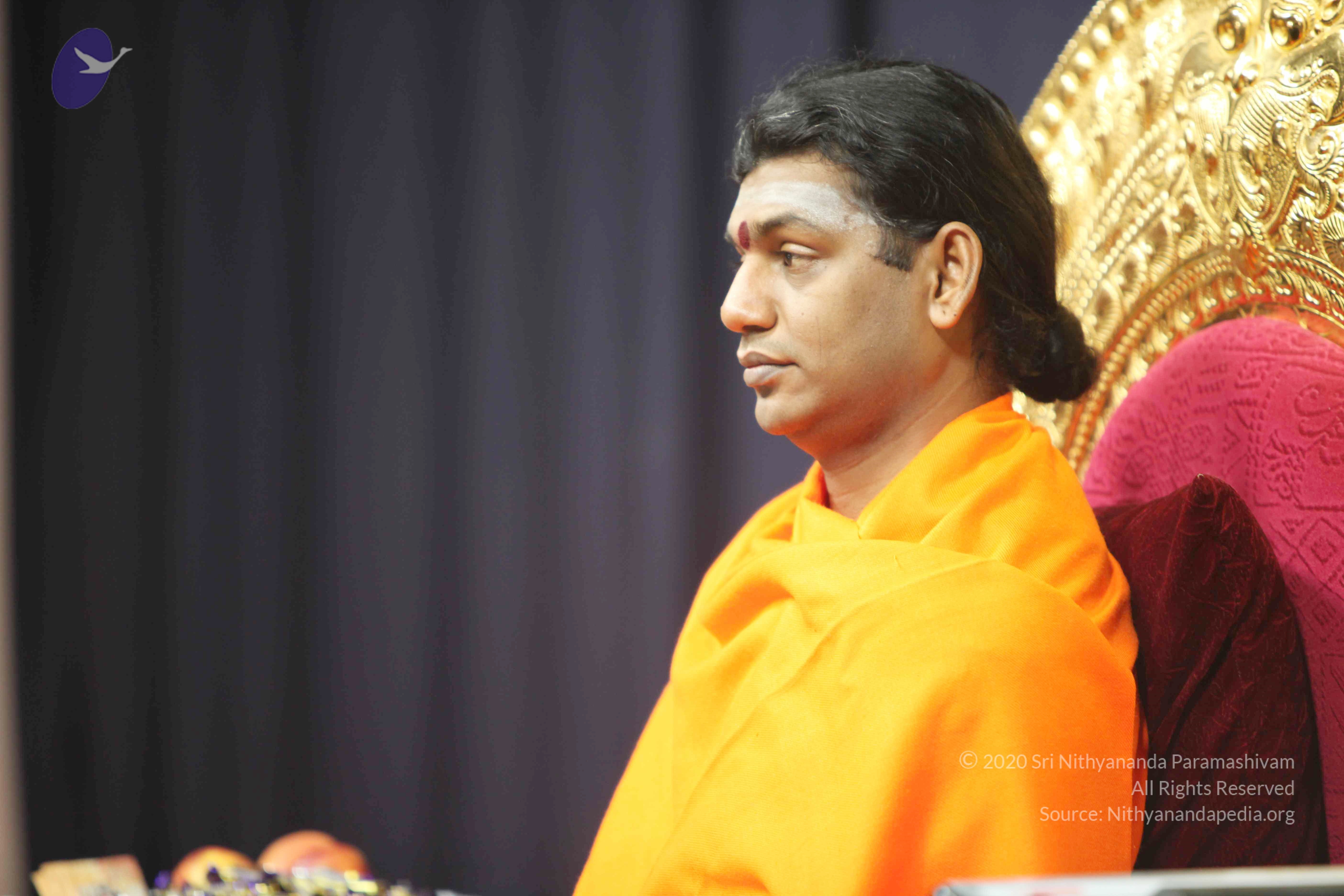 20110121_Photo_1017_IMG_2107_CMP_WM