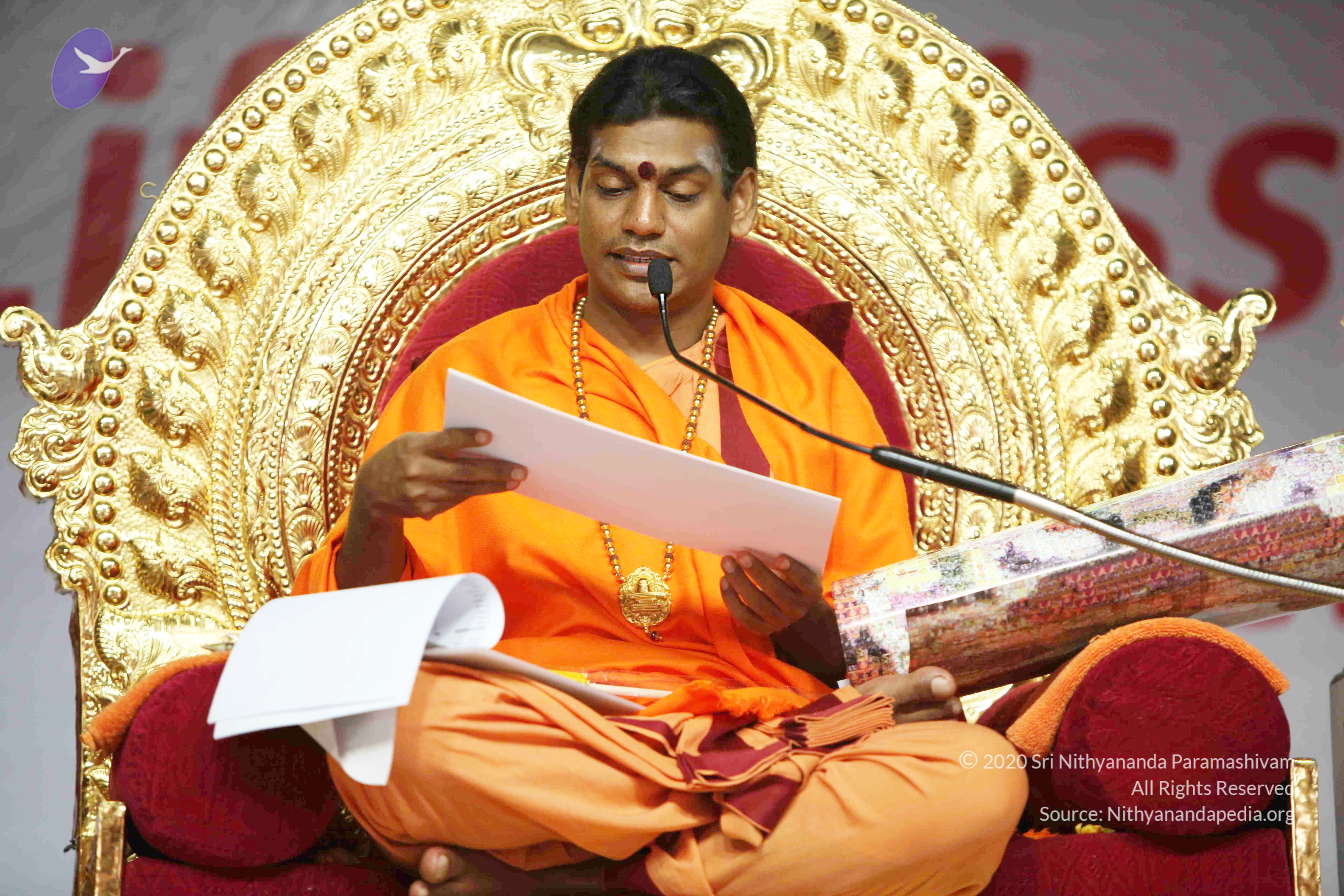 20110121_Photo_1022_IMG_2409_CMP_WM