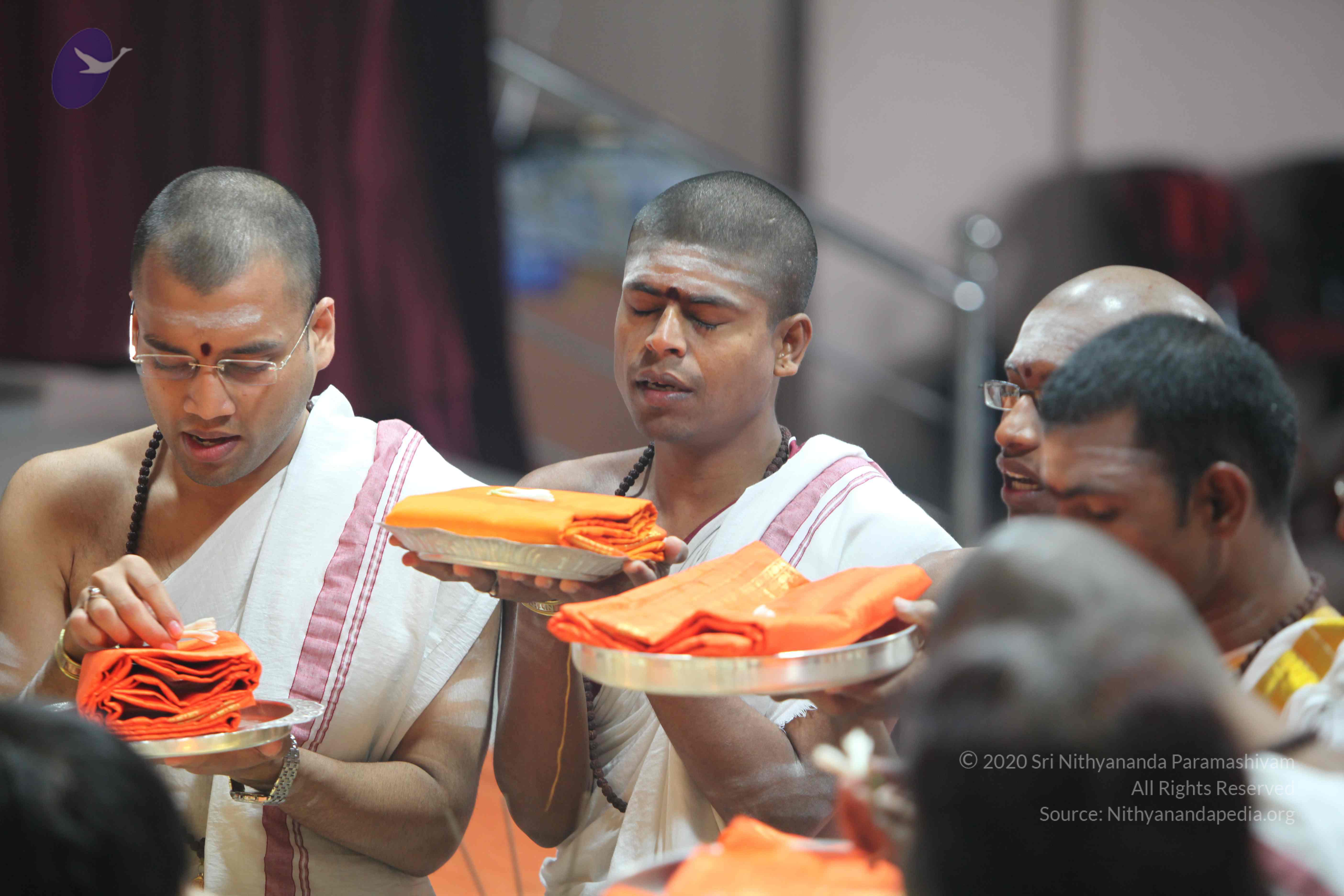 20110121_Photo_1026_IMG_2174_CMP_WM