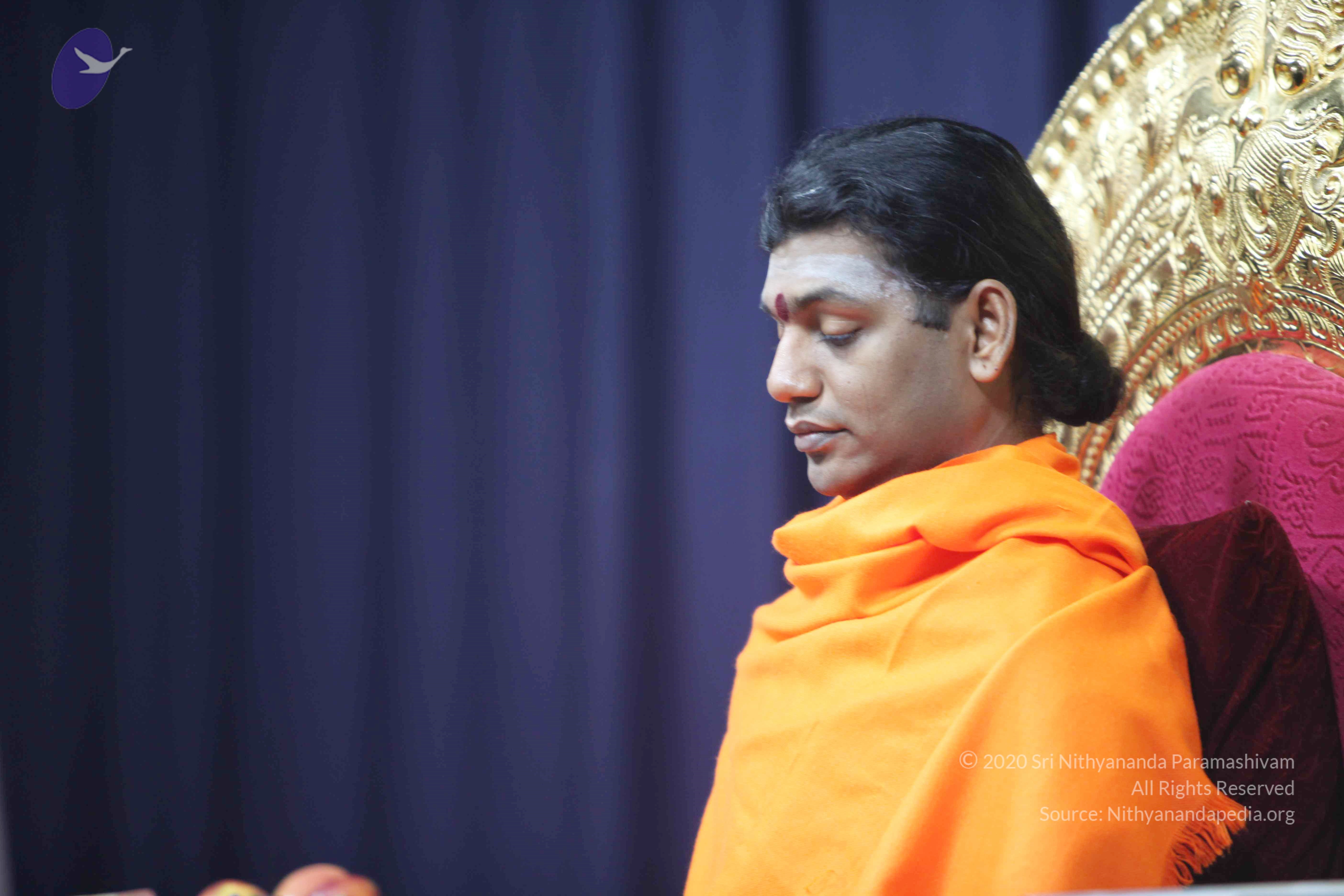 20110121_Photo_1030_IMG_2197_CMP_WM