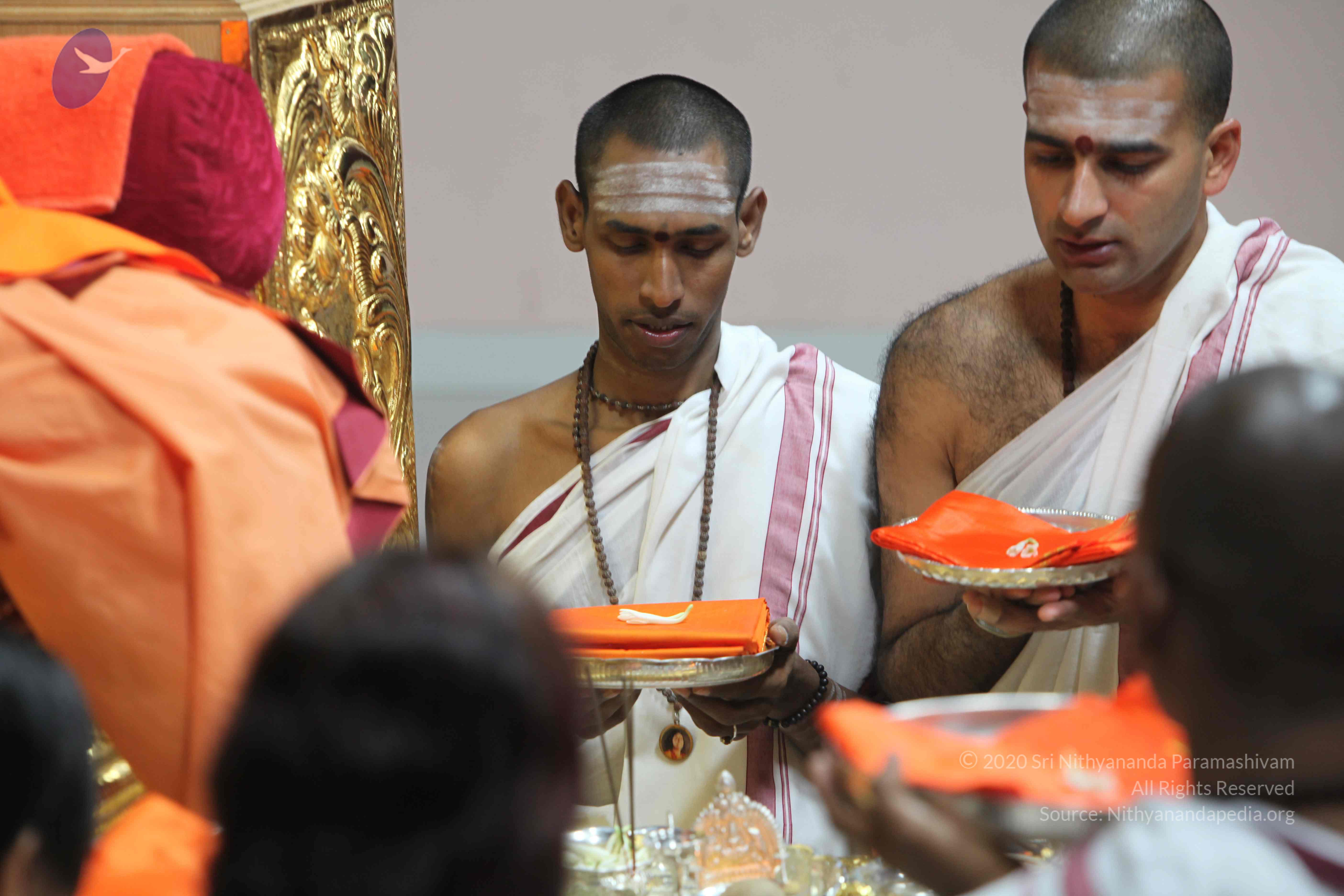 20110121_Photo_1040_IMG_2171_CMP_WM