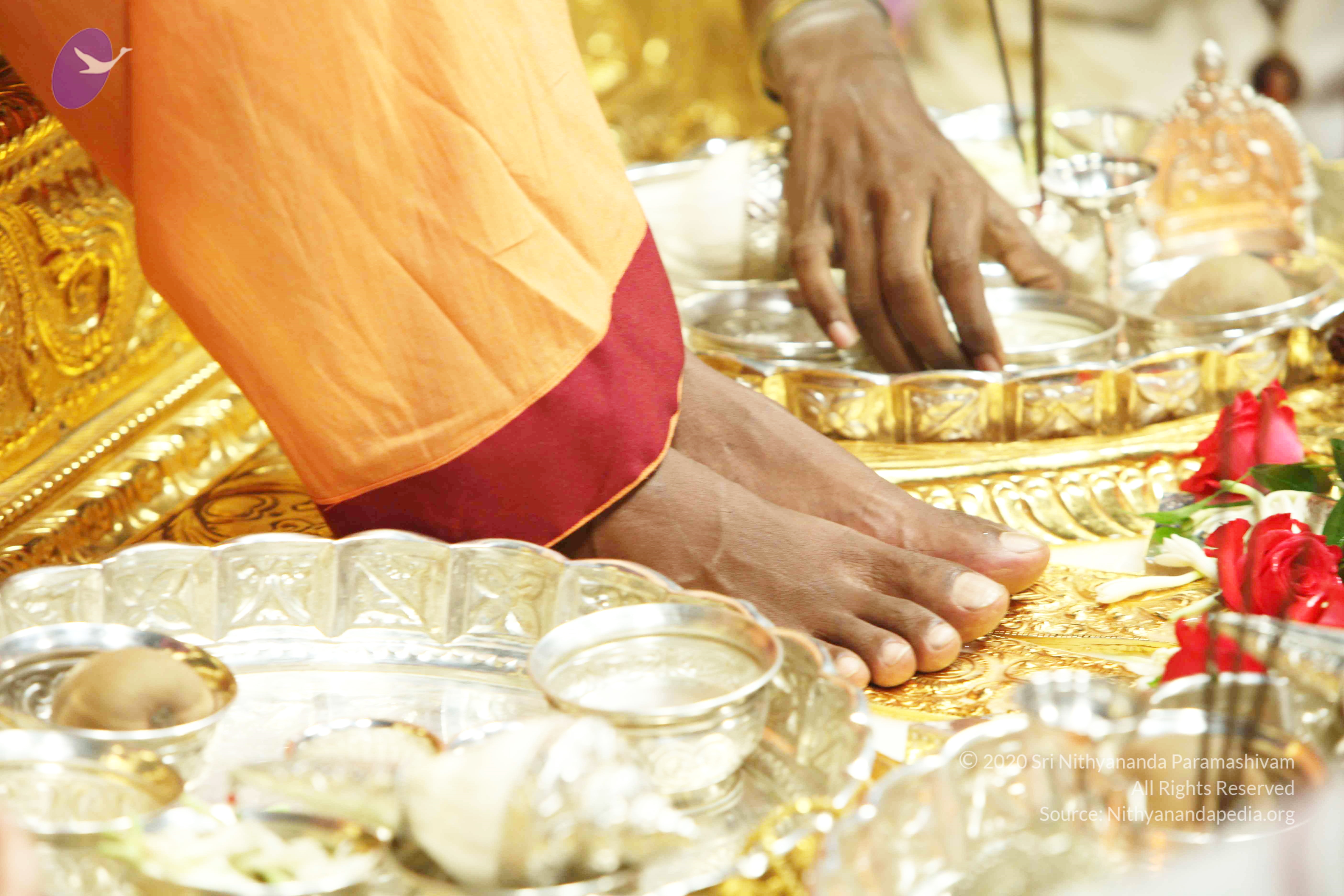 20110121_Photo_1064_IMG_2157_CMP_WM