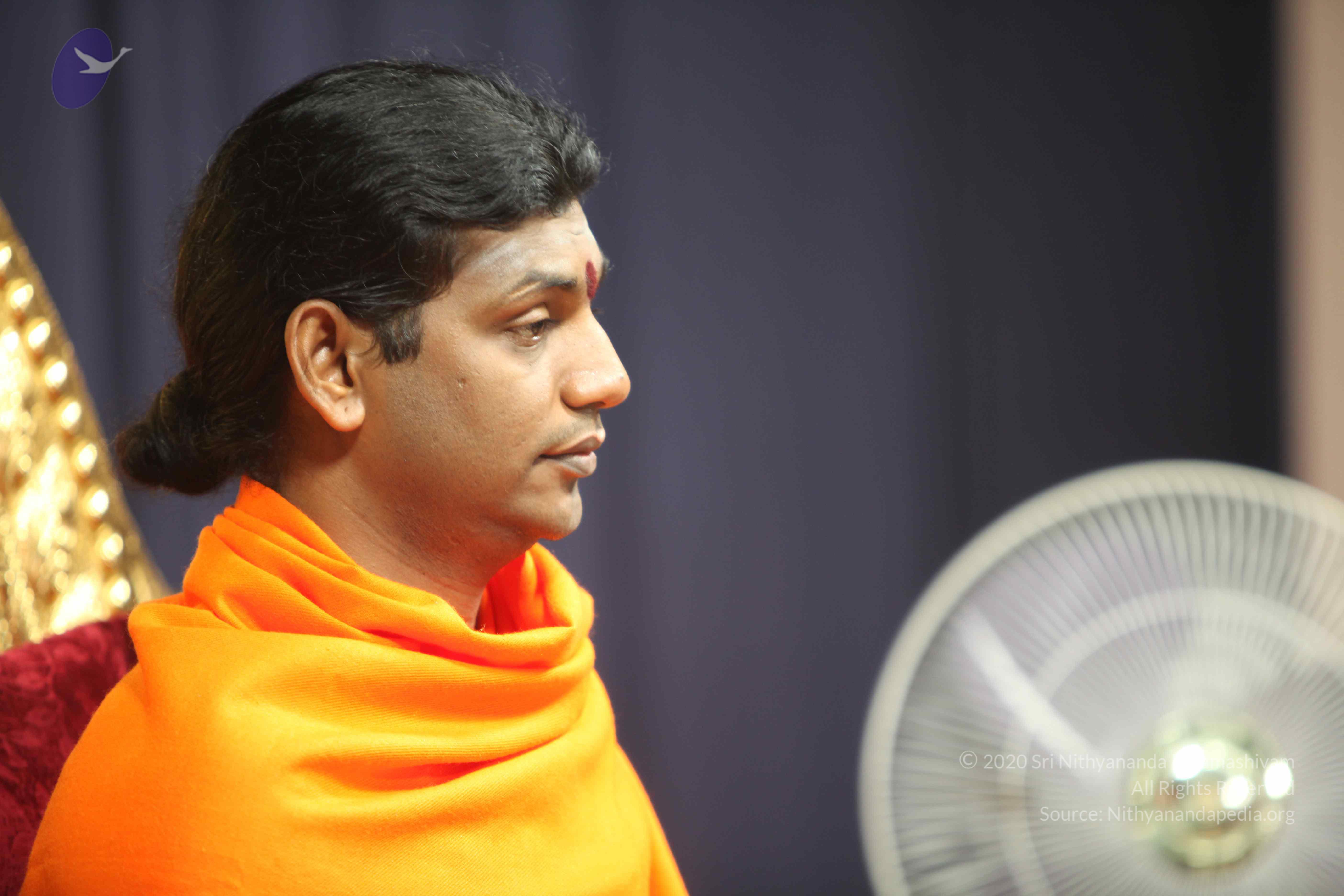 20110121_Photo_1069_IMG_2167_CMP_WM