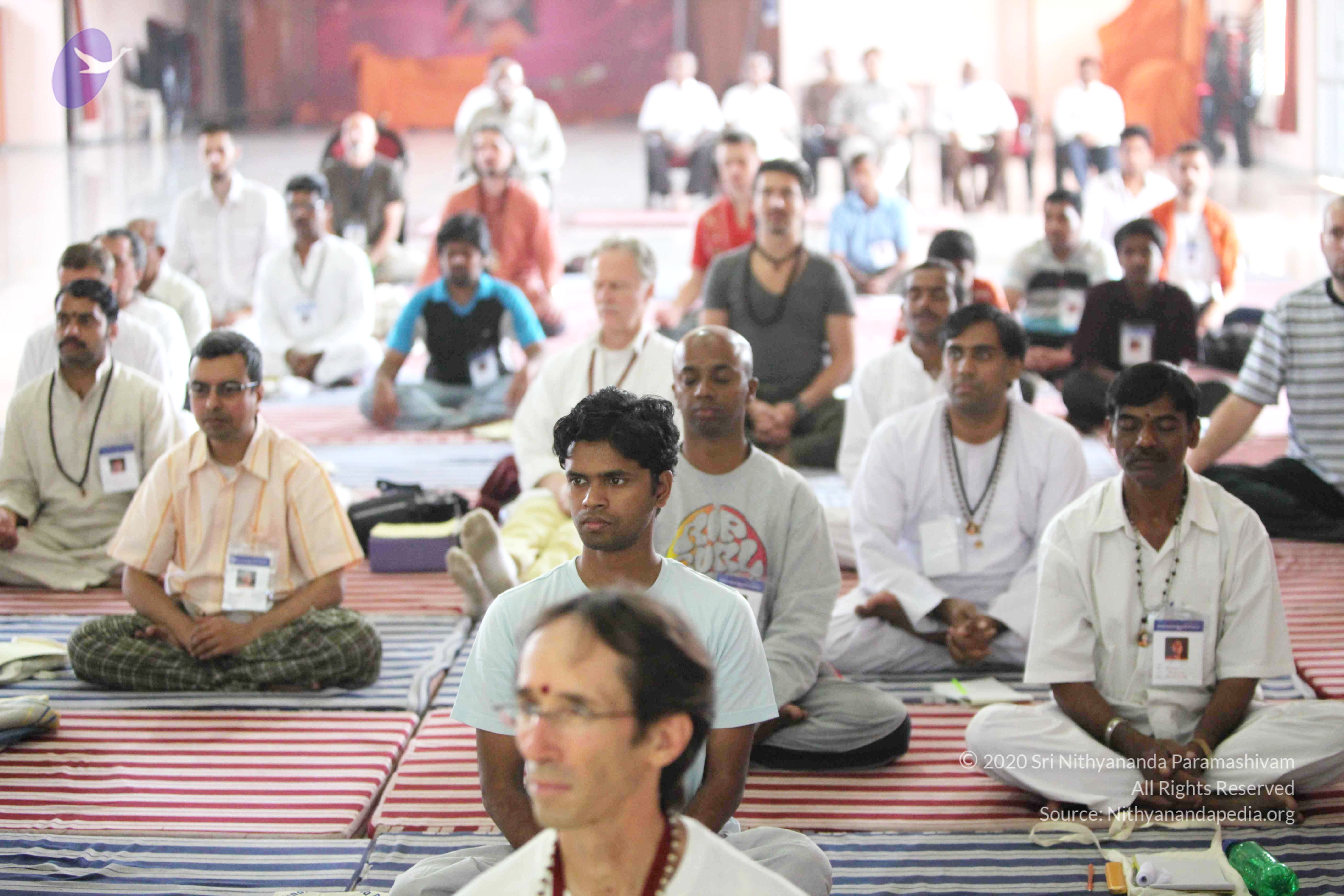 20110121_Photo_1073_IMG_2378_CMP_WM