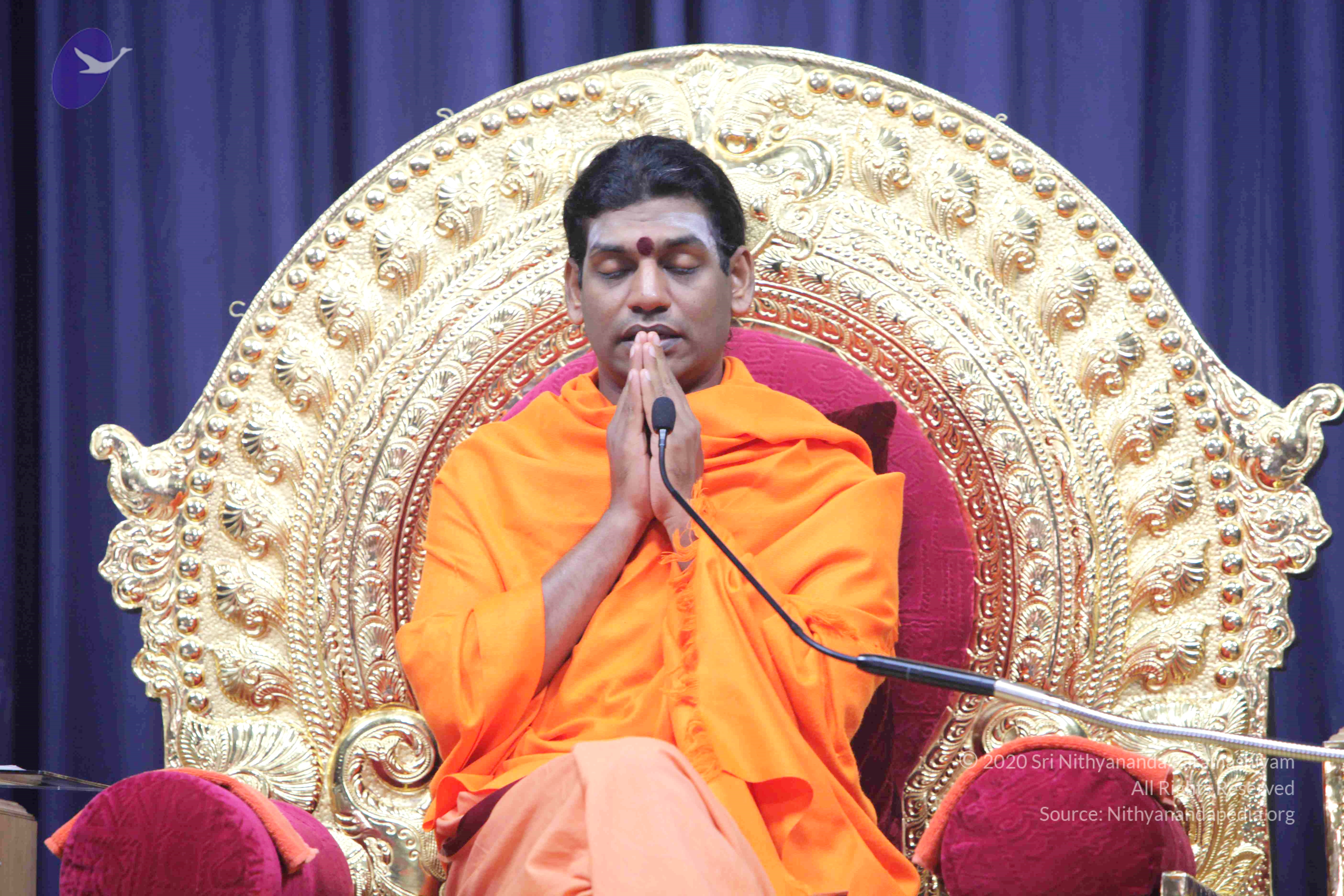 20110121_Photo_1087_IMG_2261_CMP_WM