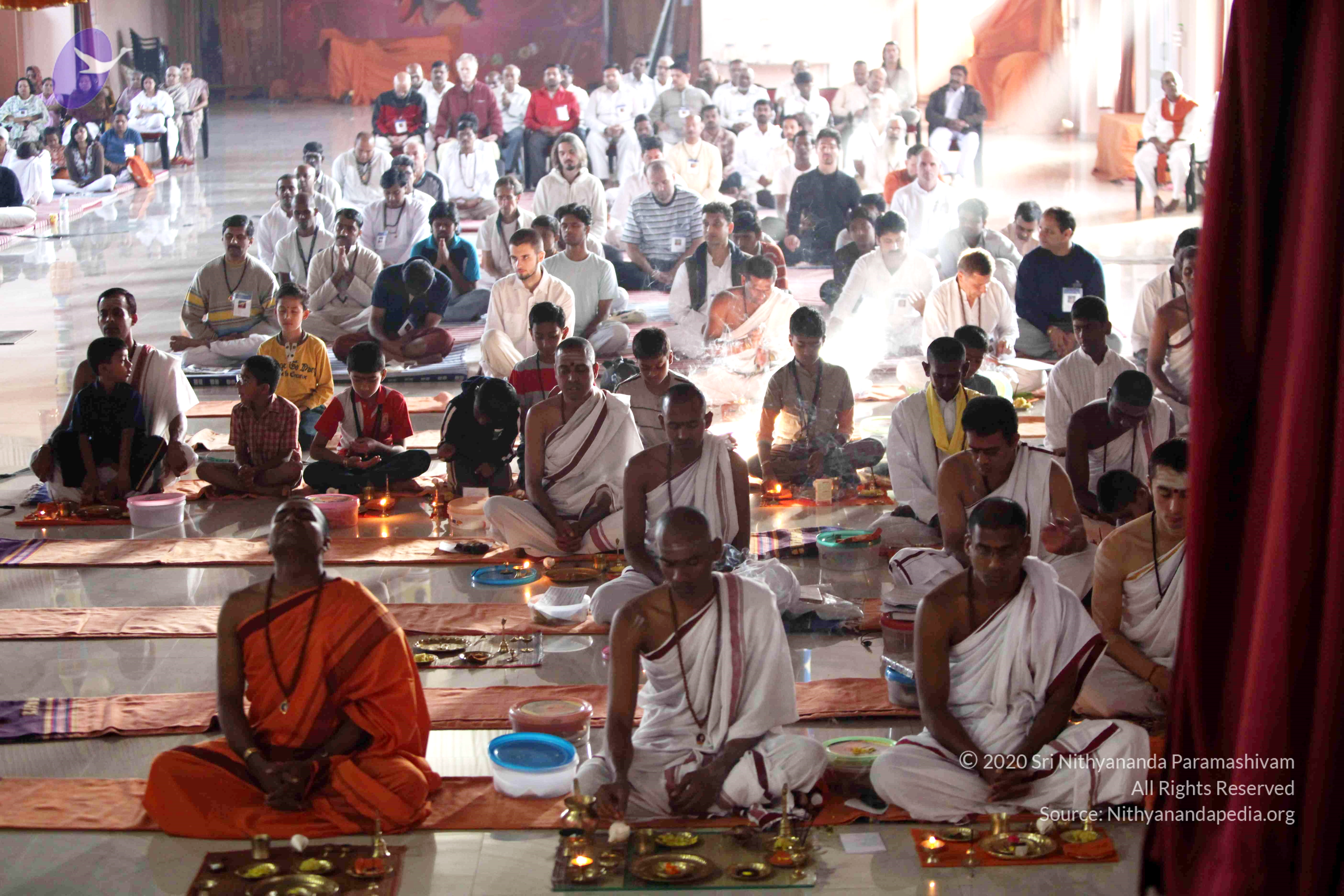 20110121_Photo_1105_IMG_2176_CMP_WM