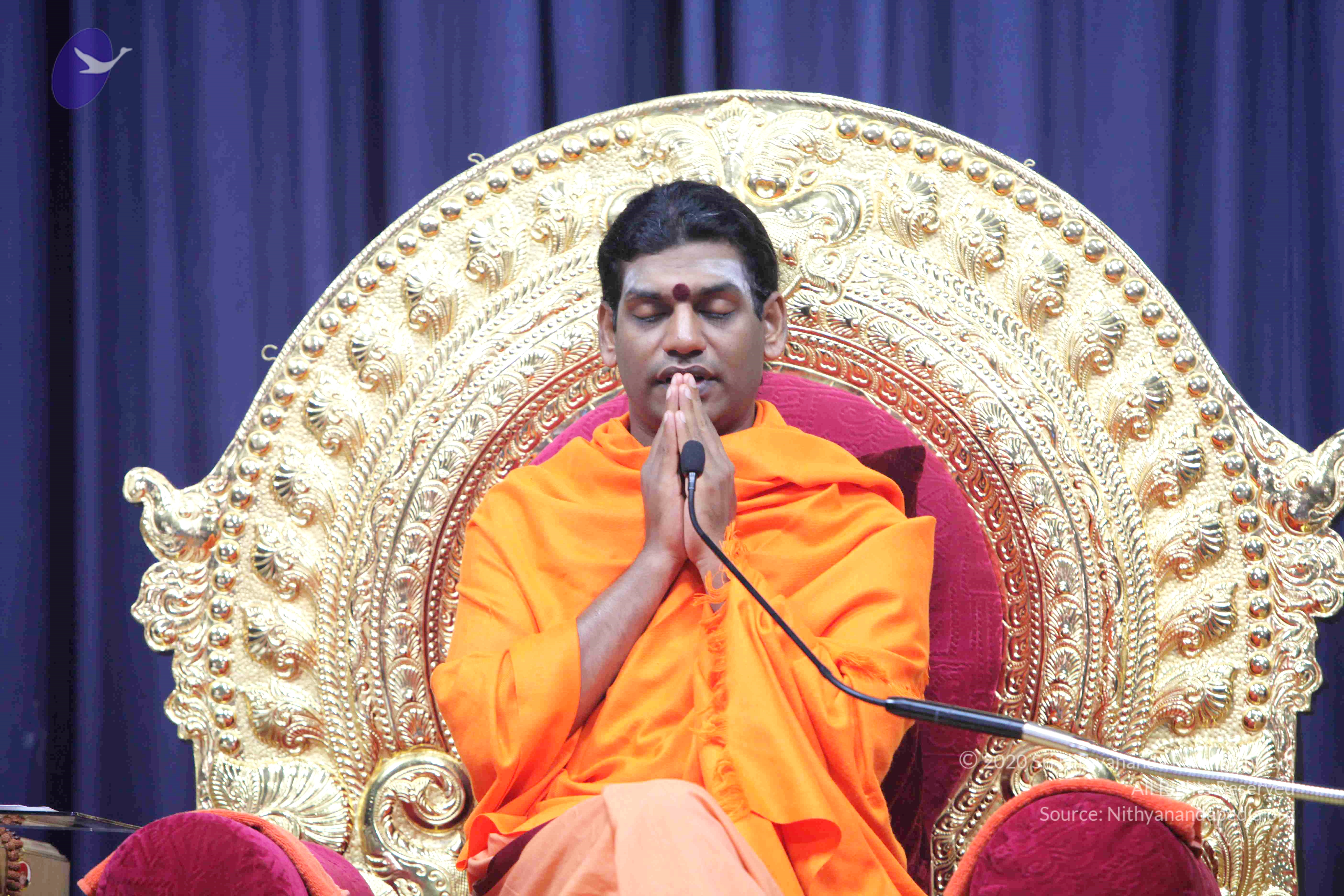 20110121_Photo_1110_IMG_2264_CMP_WM