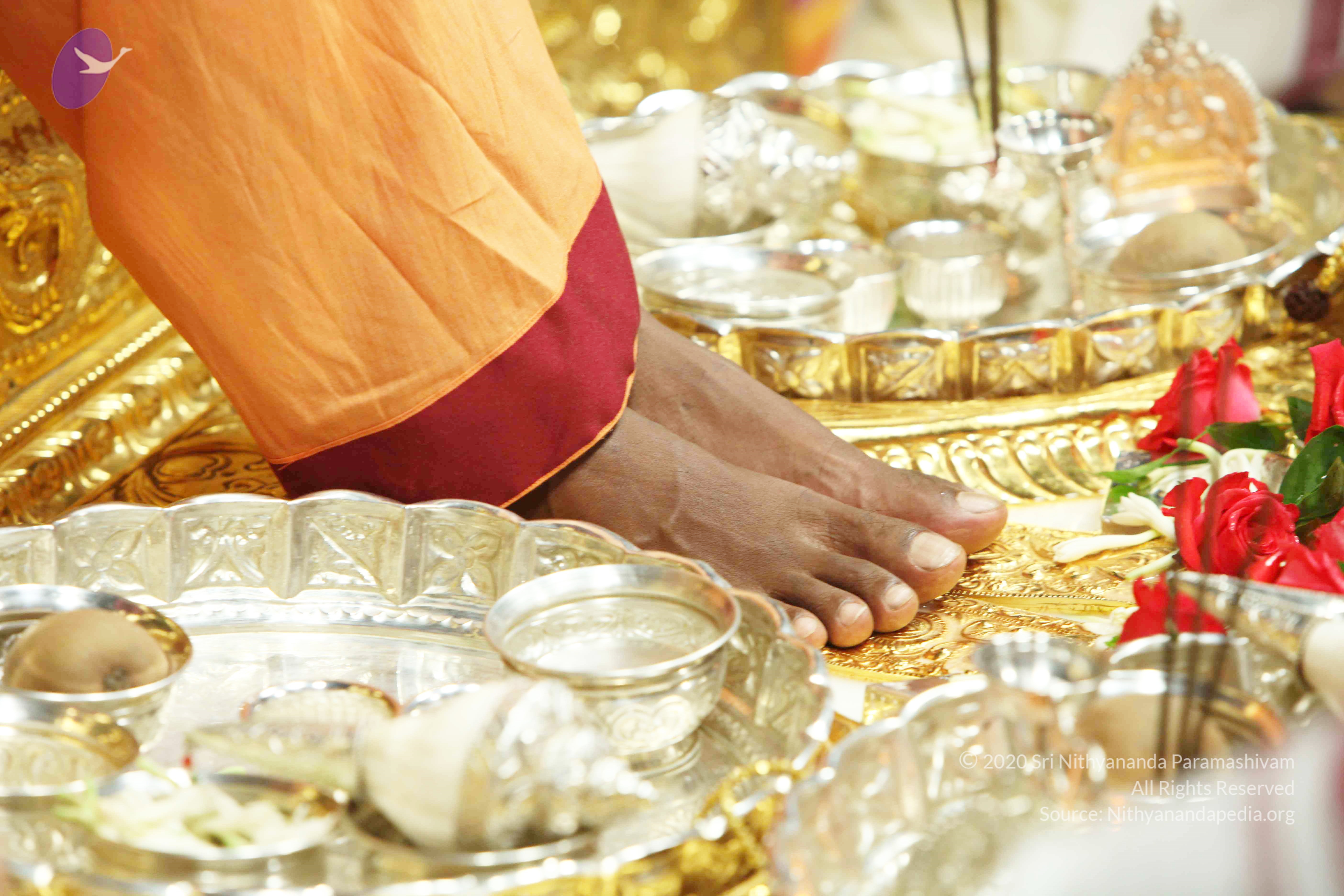 20110121_Photo_1111_IMG_2158_CMP_WM