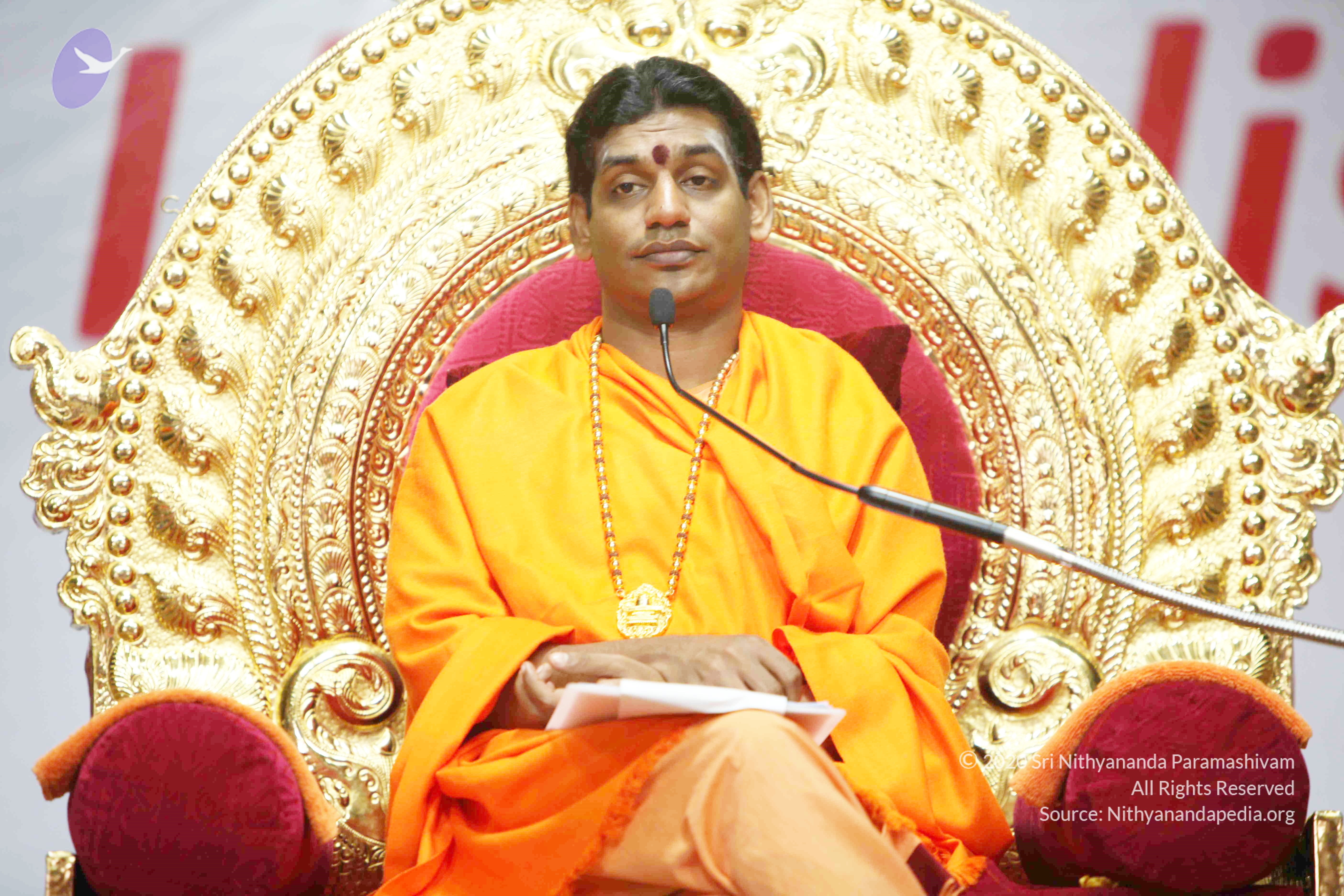 20110121_Photo_1125_IMG_2382_CMP_WM