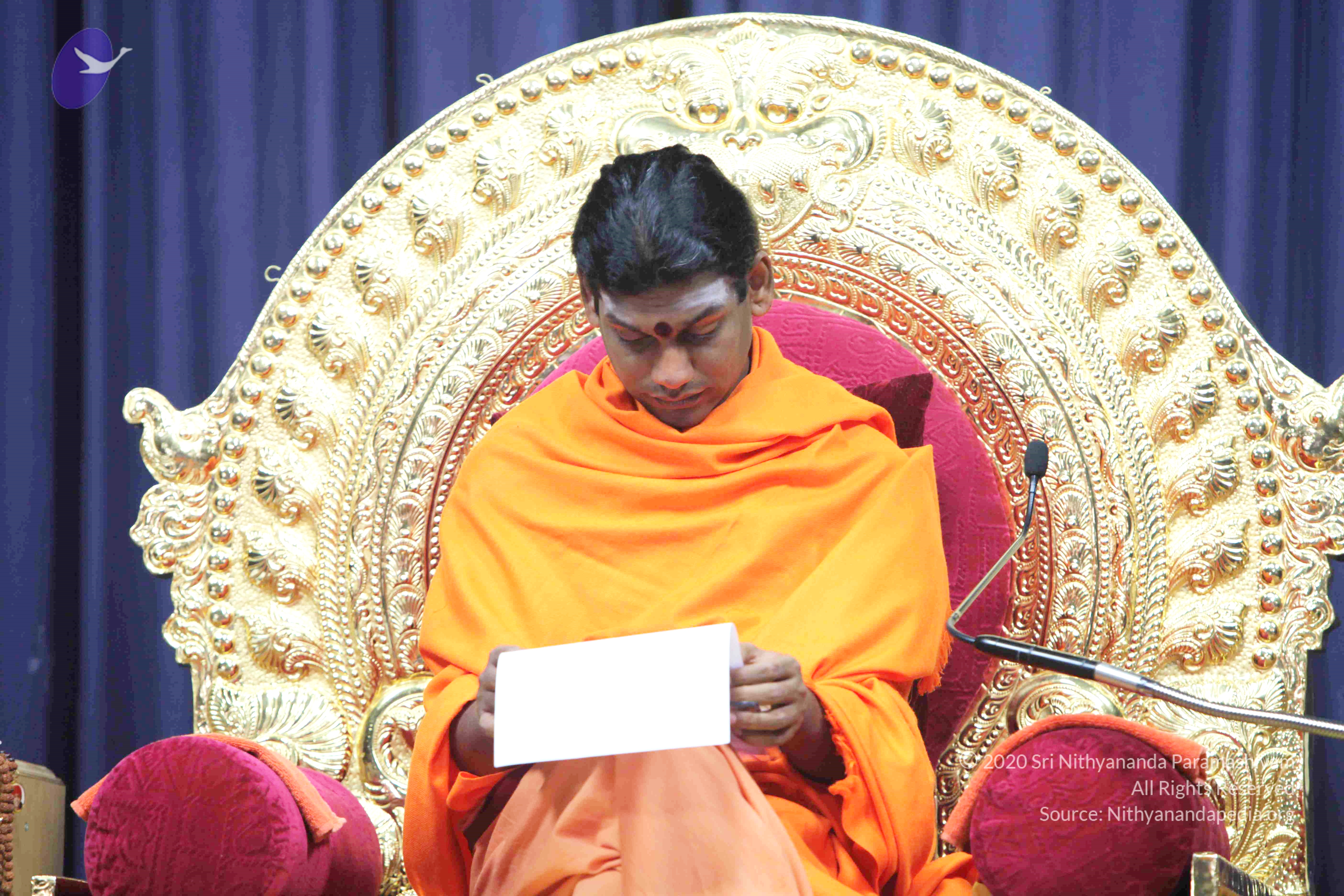 20110121_Photo_1152_IMG_2250_CMP_WM