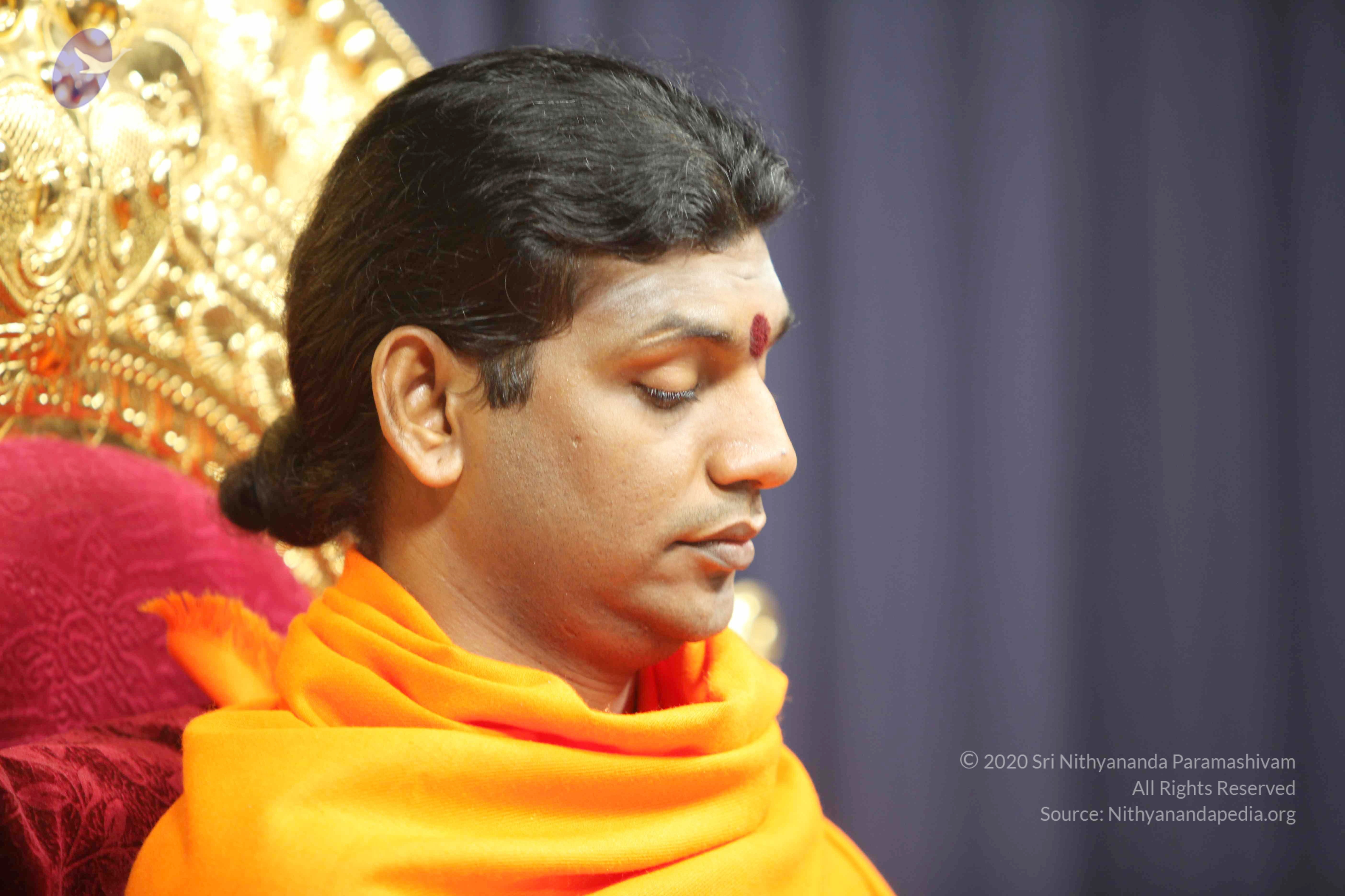 20110121_Photo_1164_IMG_2161_CMP_WM