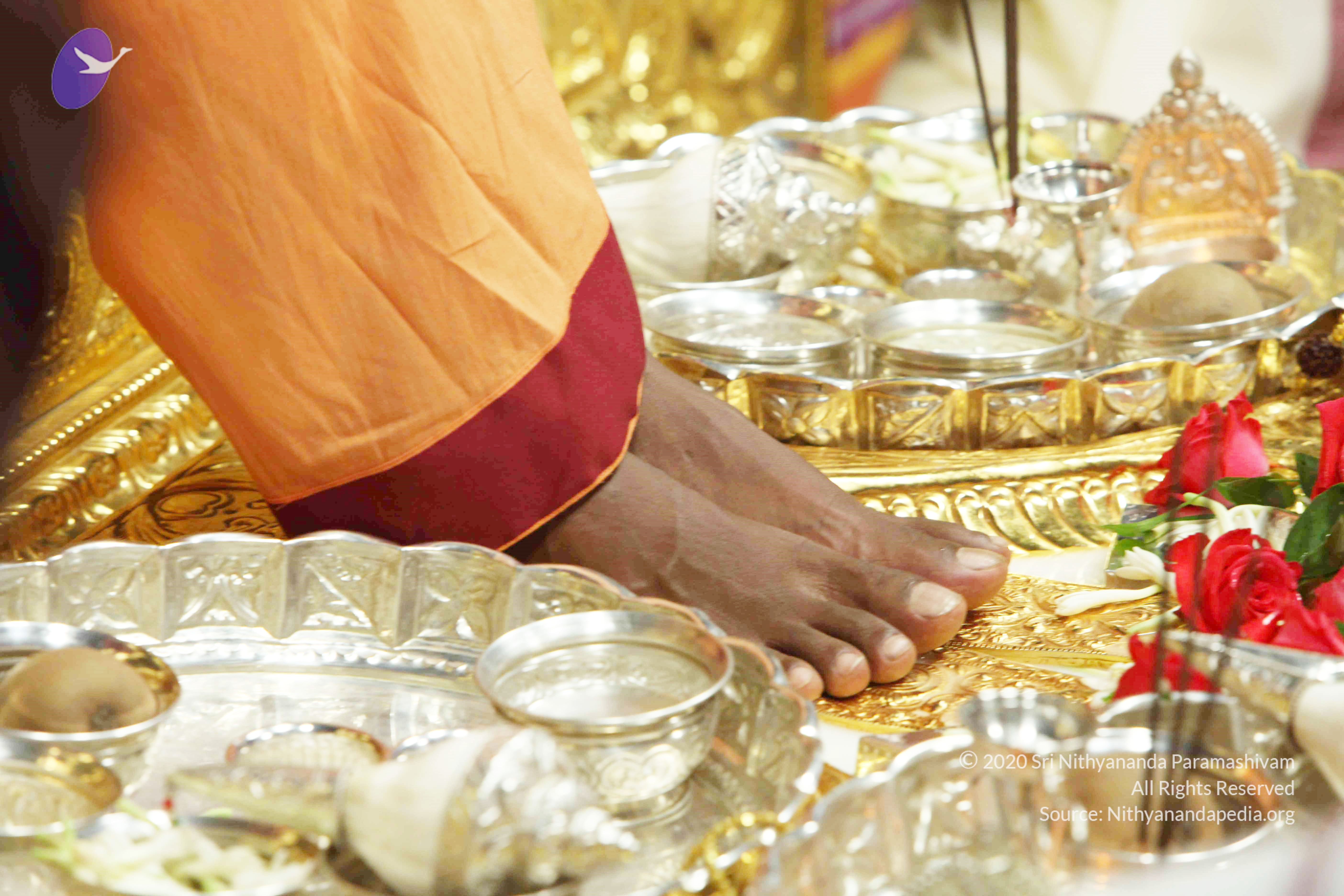 20110121_Photo_1165_IMG_2156_CMP_WM