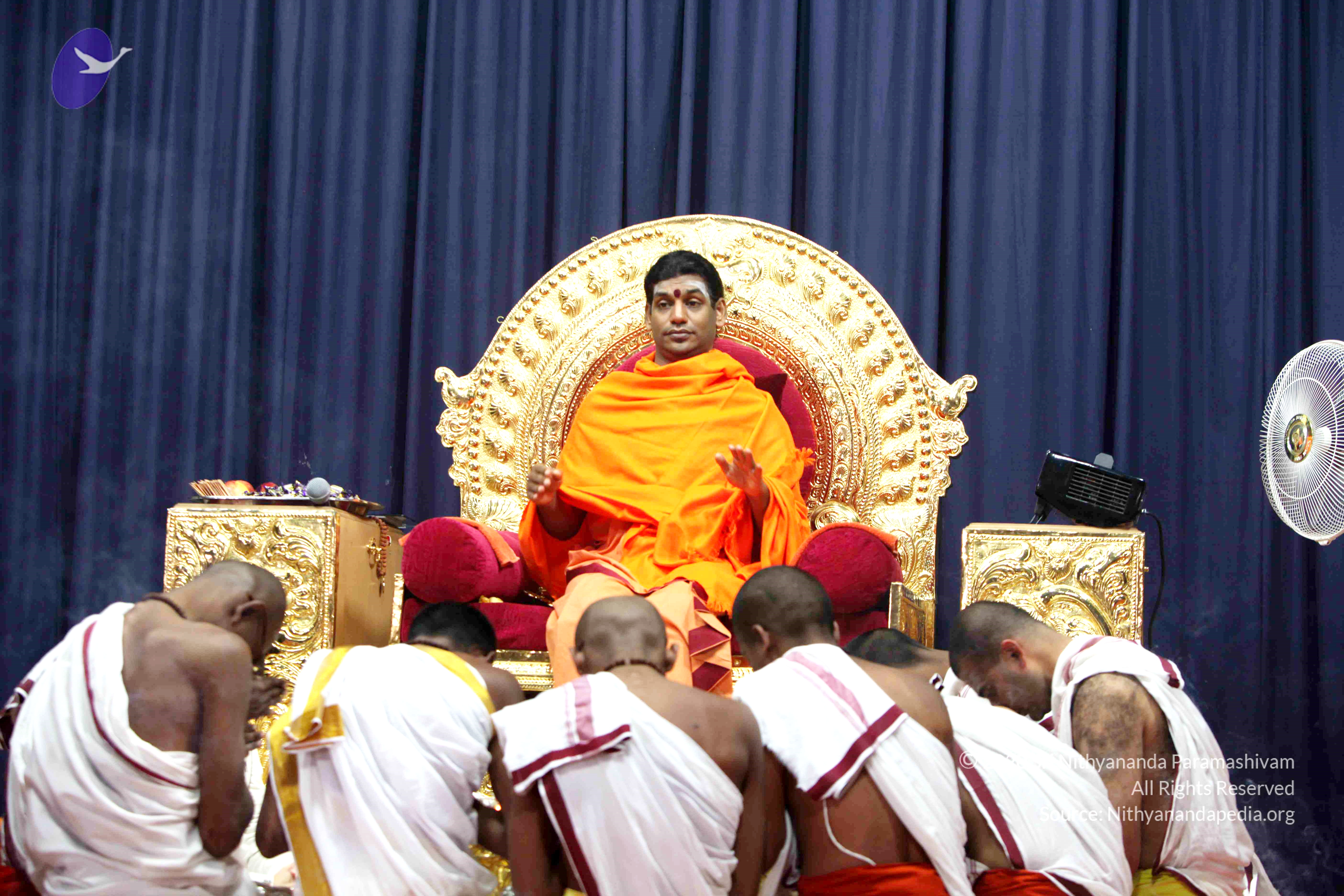 20110121_Photo_1206_IMG_2237_CMP_WM