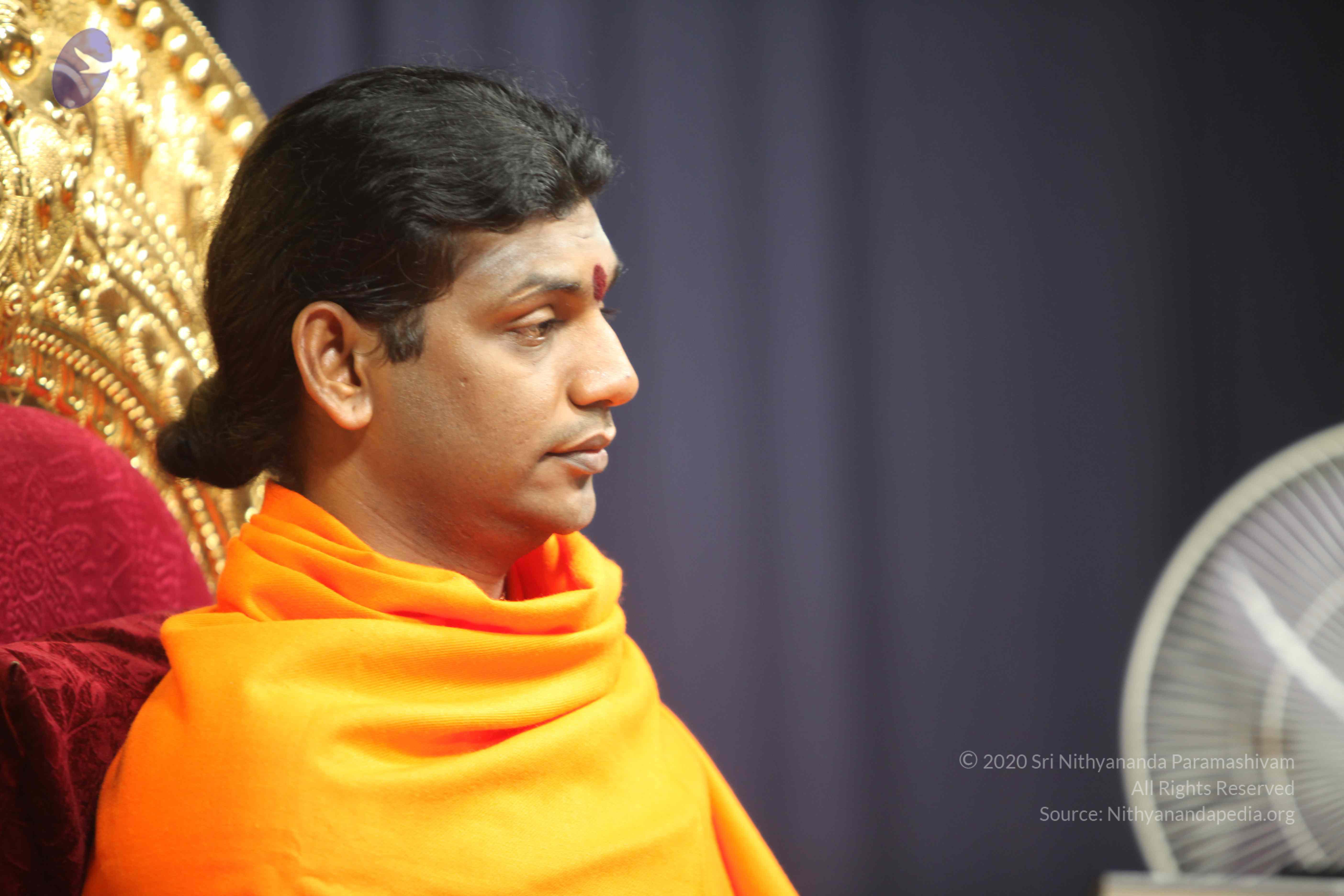 20110121_Photo_1209_IMG_2169_CMP_WM