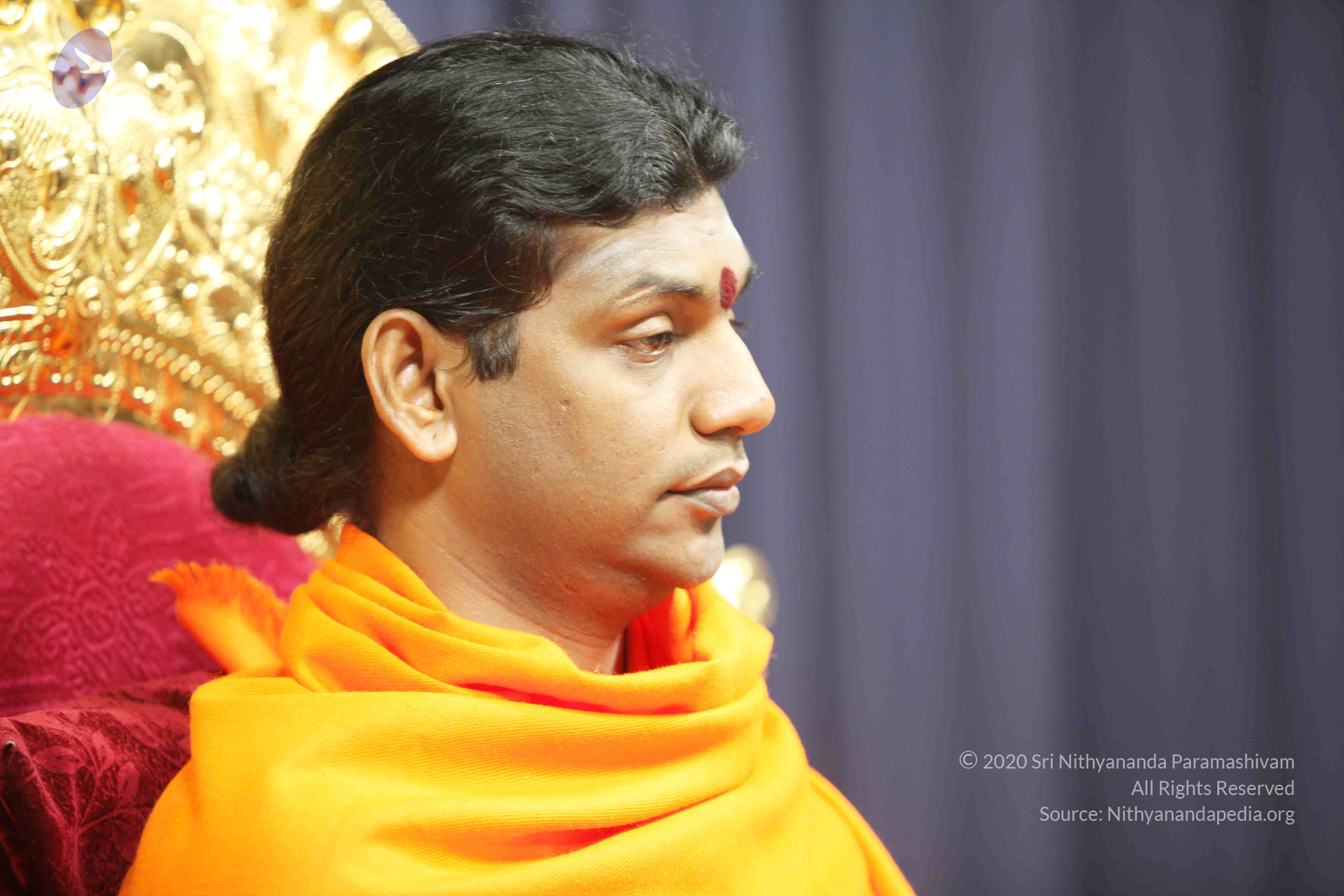 20110121_Photo_1218_IMG_2159_CMP_WM