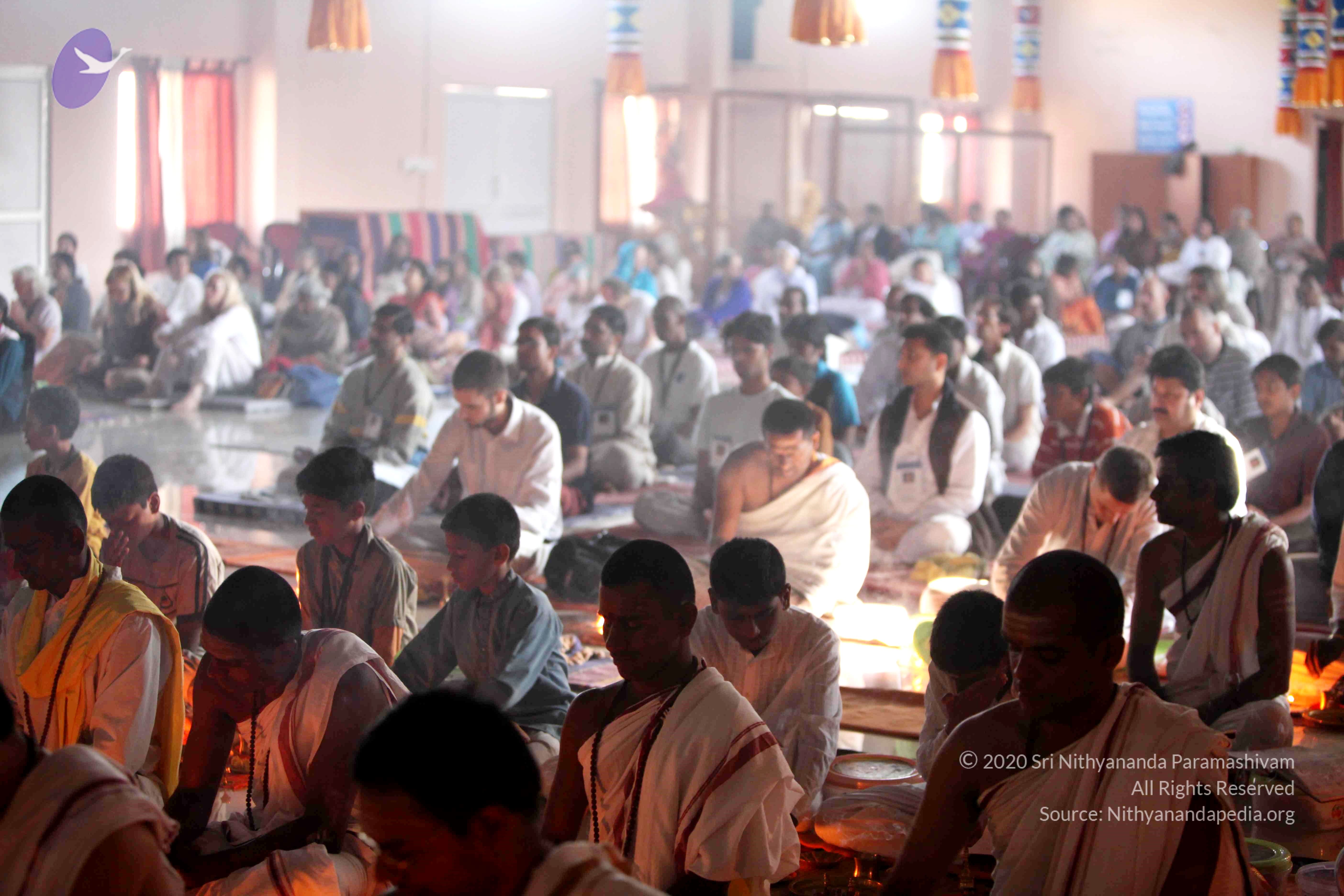 20110121_Photo_1241_IMG_2216_CMP_WM