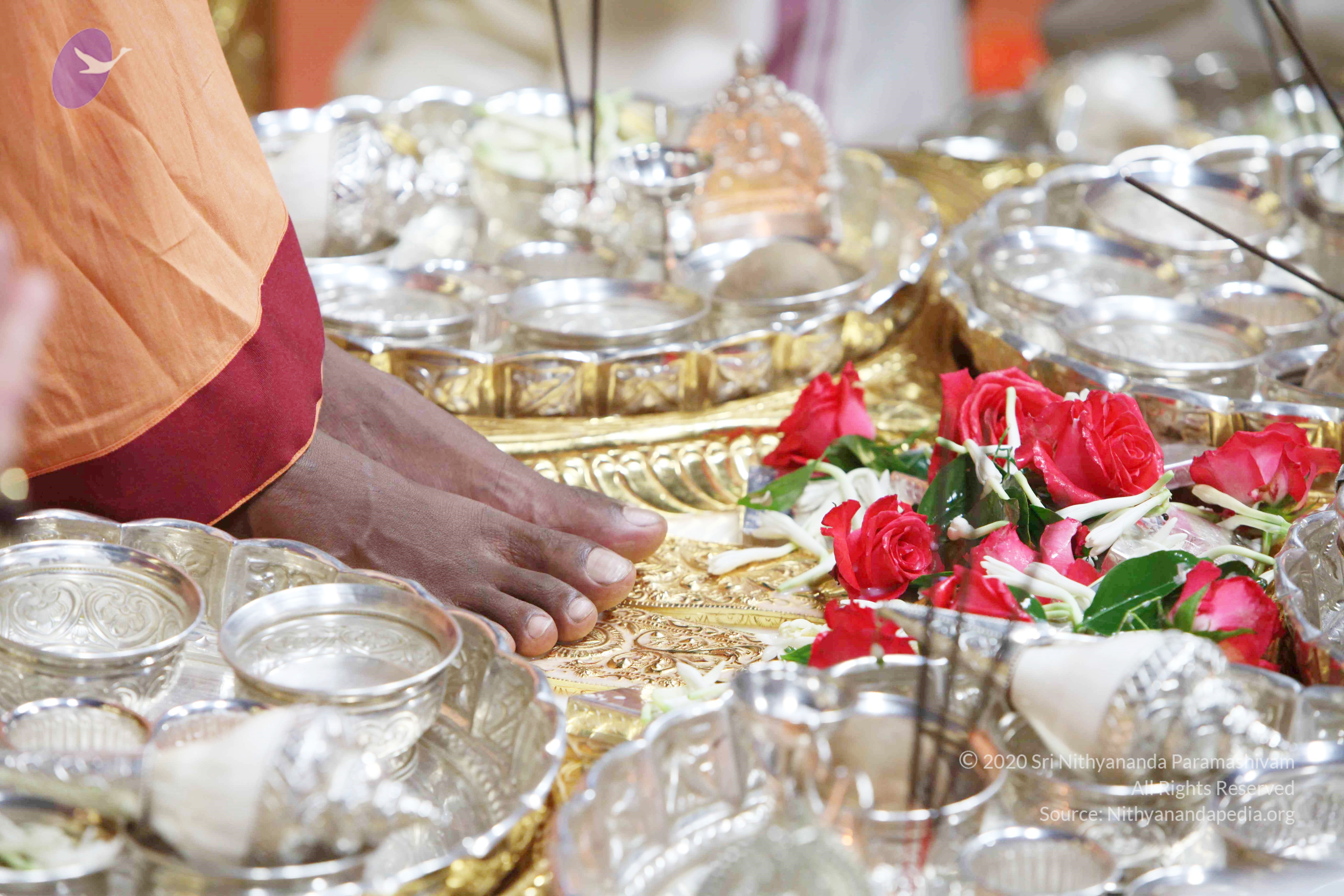 20110121_Photo_1250_IMG_2180_CMP_WM