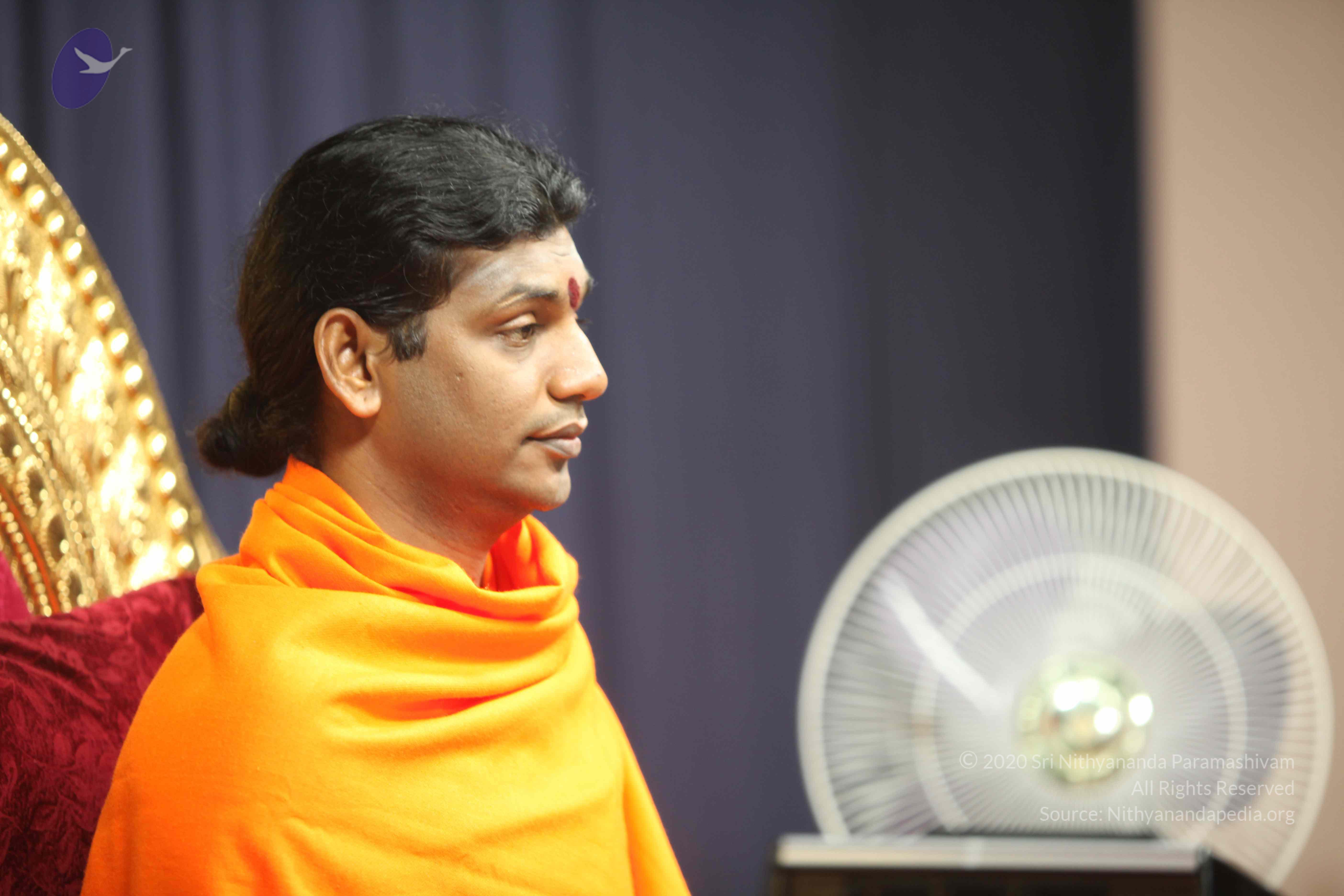 20110121_Photo_1257_IMG_2166_CMP_WM