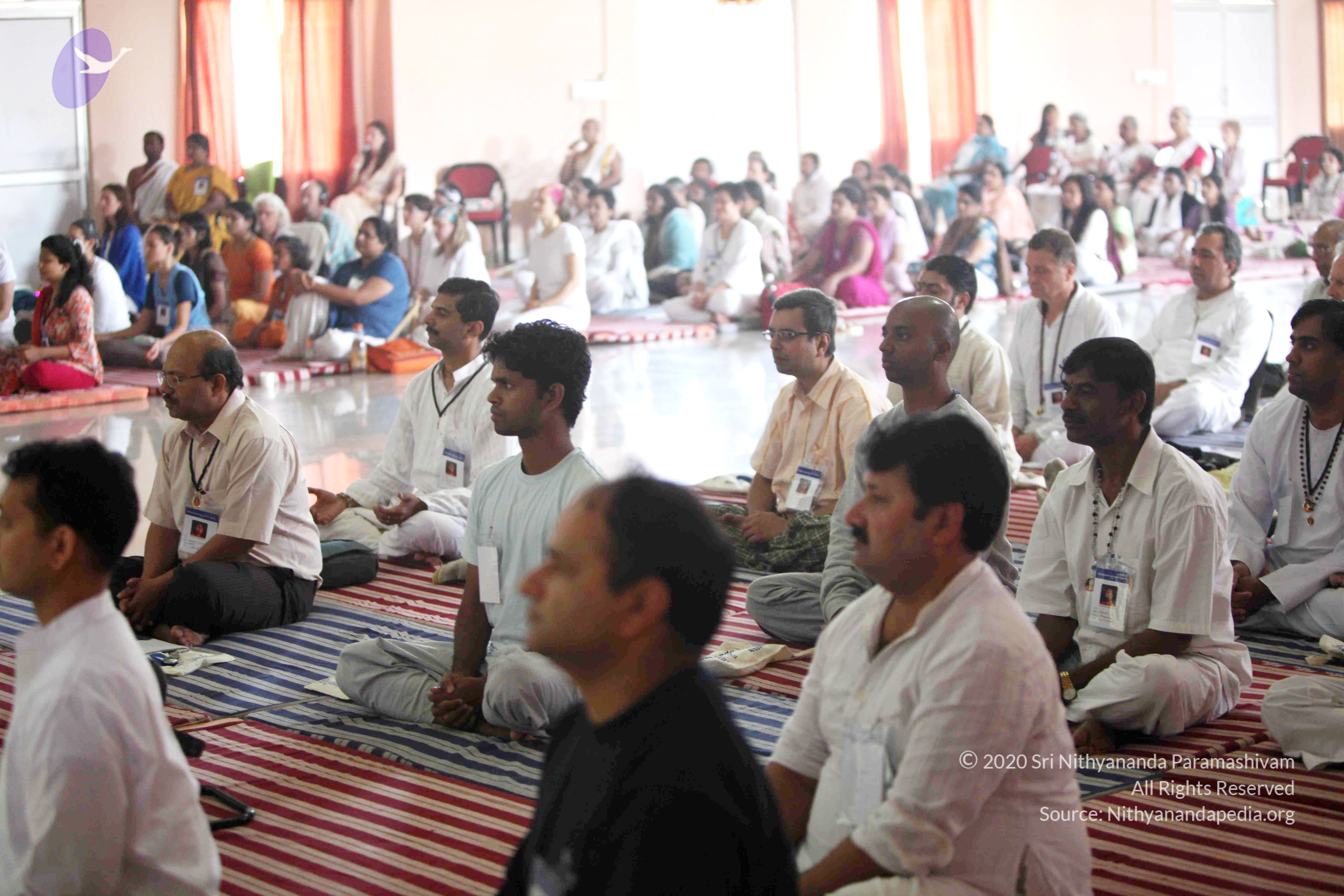 20110121_Photo_1259_IMG_2379_CMP_WM