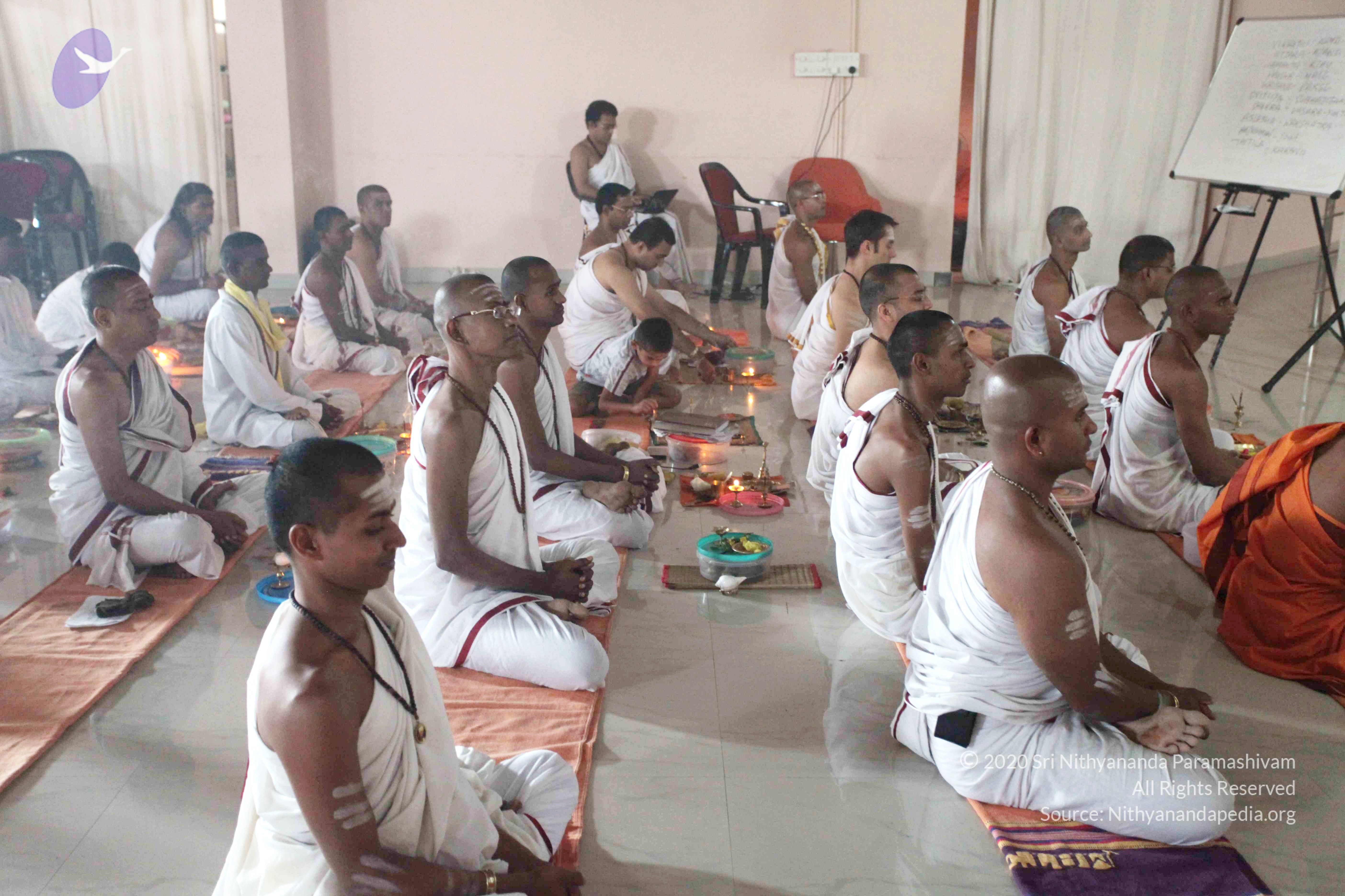 20110121_Photo_1264_IMG_2307_CMP_WM