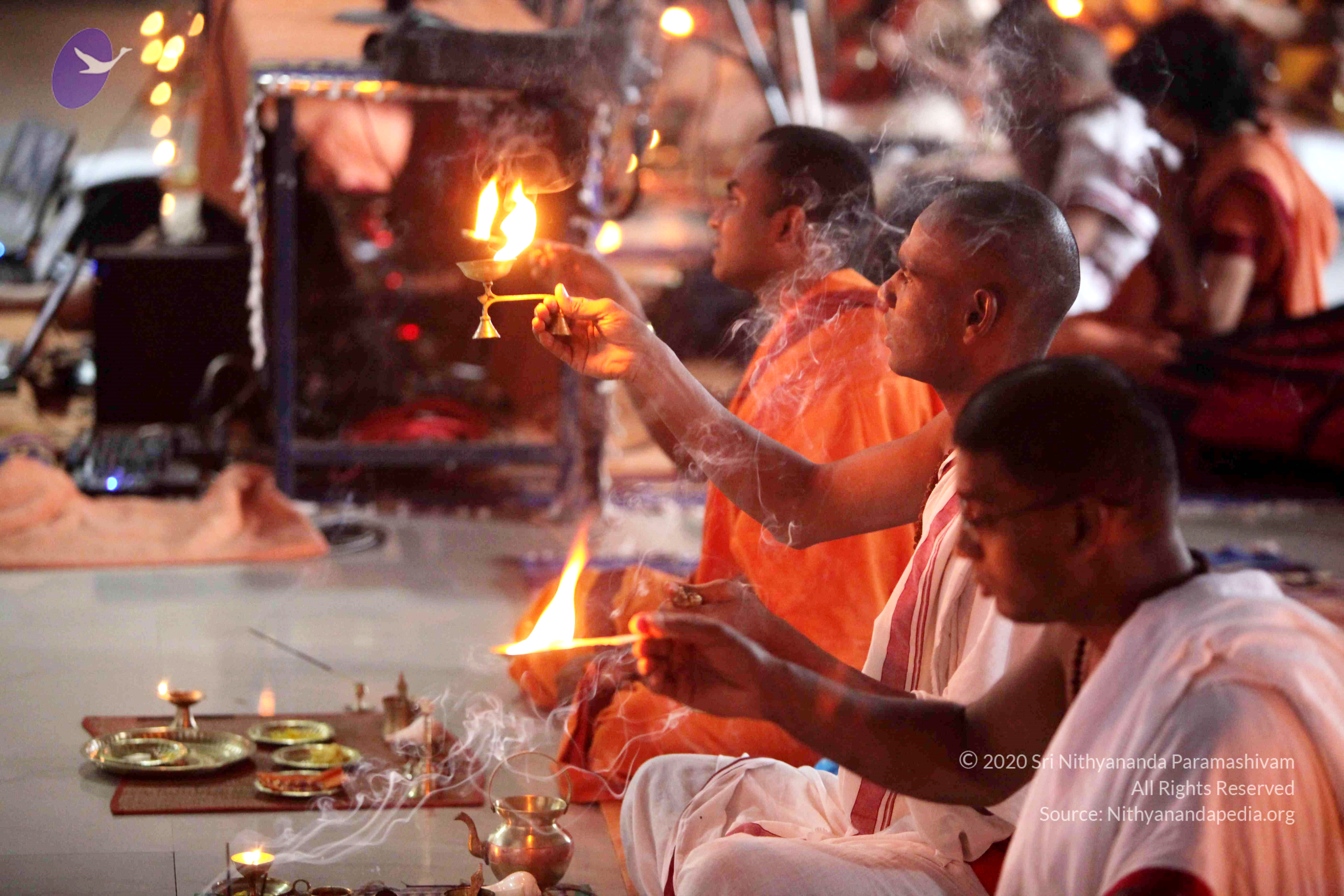 20110121_Photo_1266_IMG_2213_CMP_WM