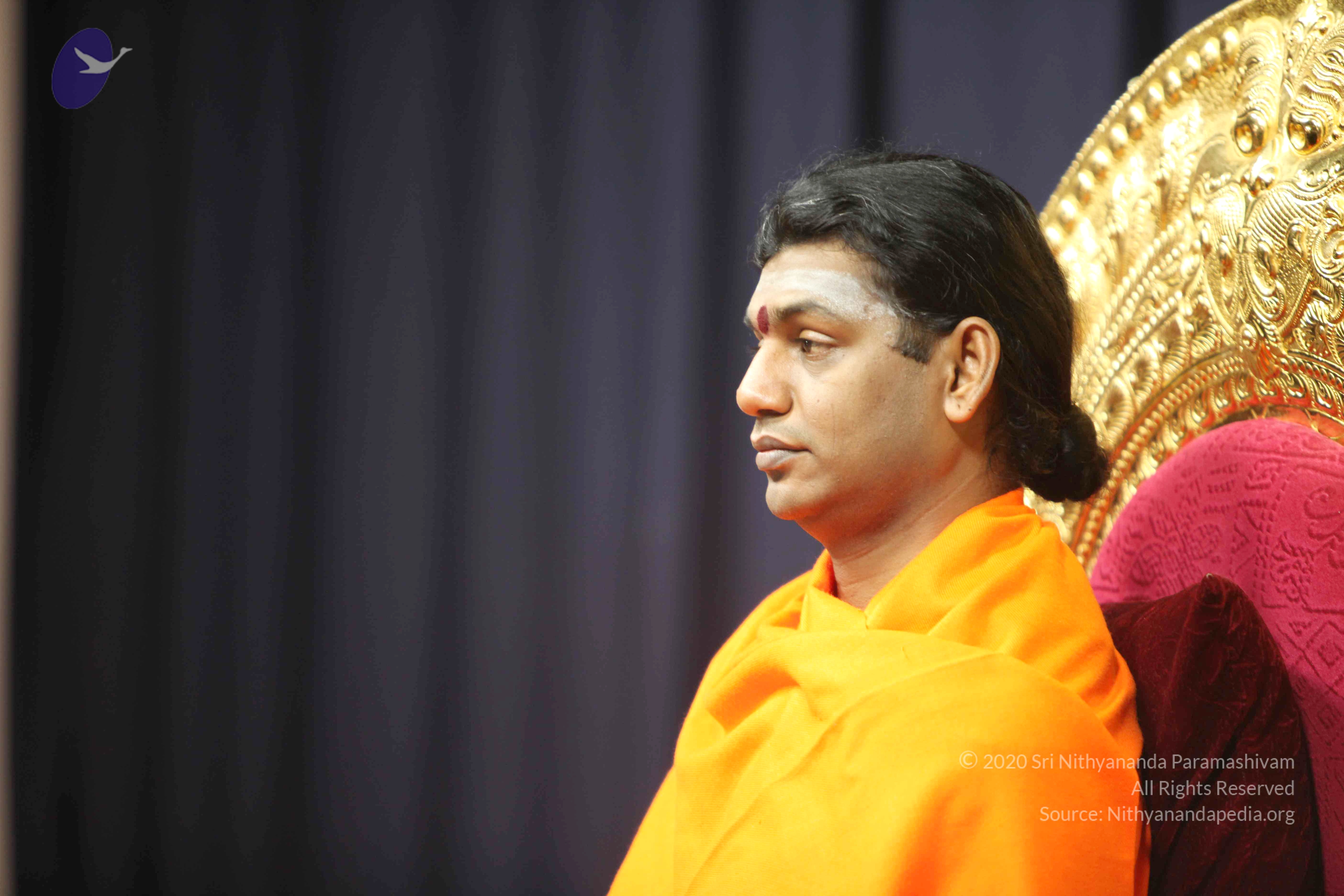 20110121_Photo_1275_IMG_2109_CMP_WM