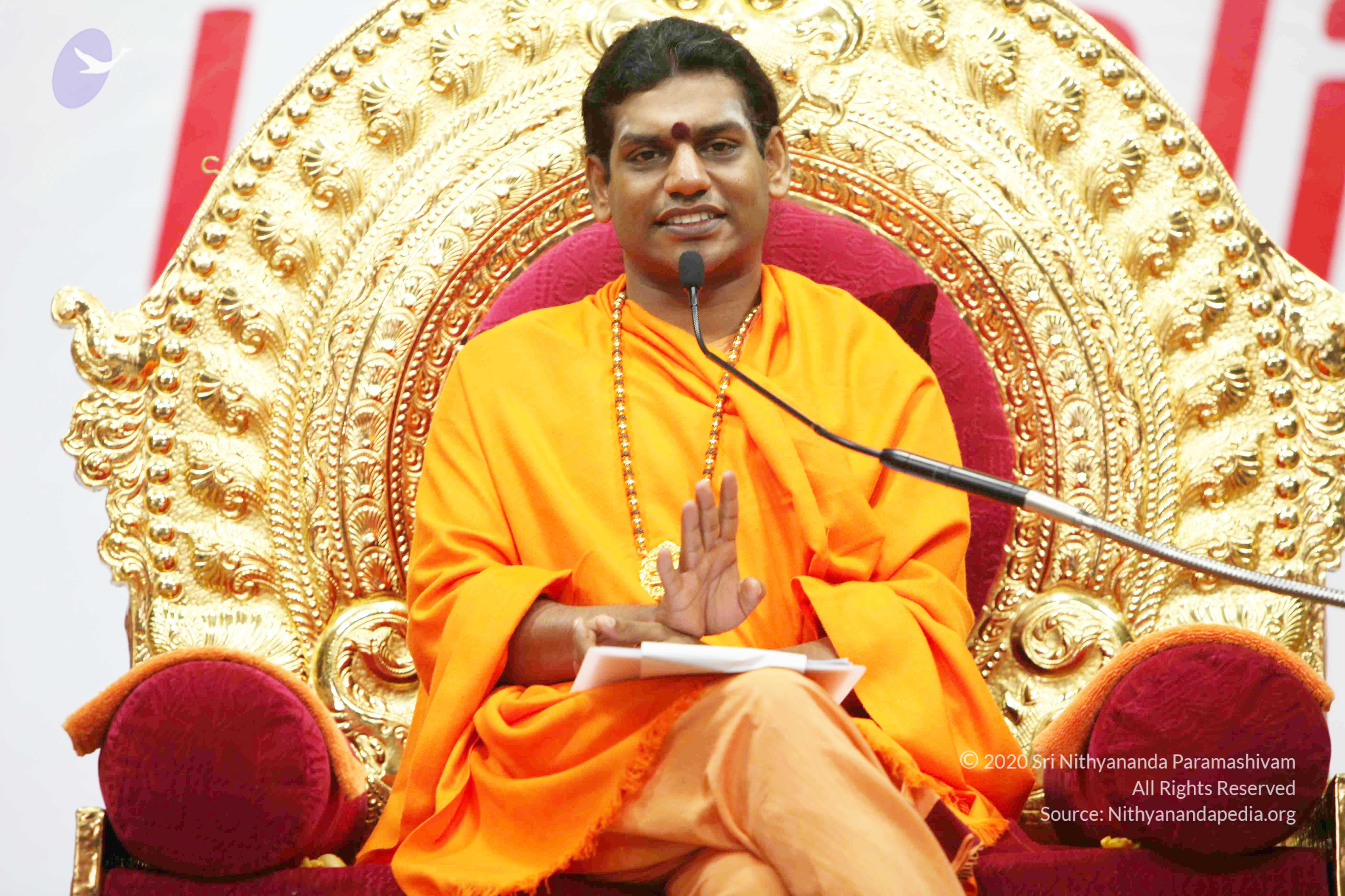 20110121_Photo_1284_IMG_2368_CMP_WM