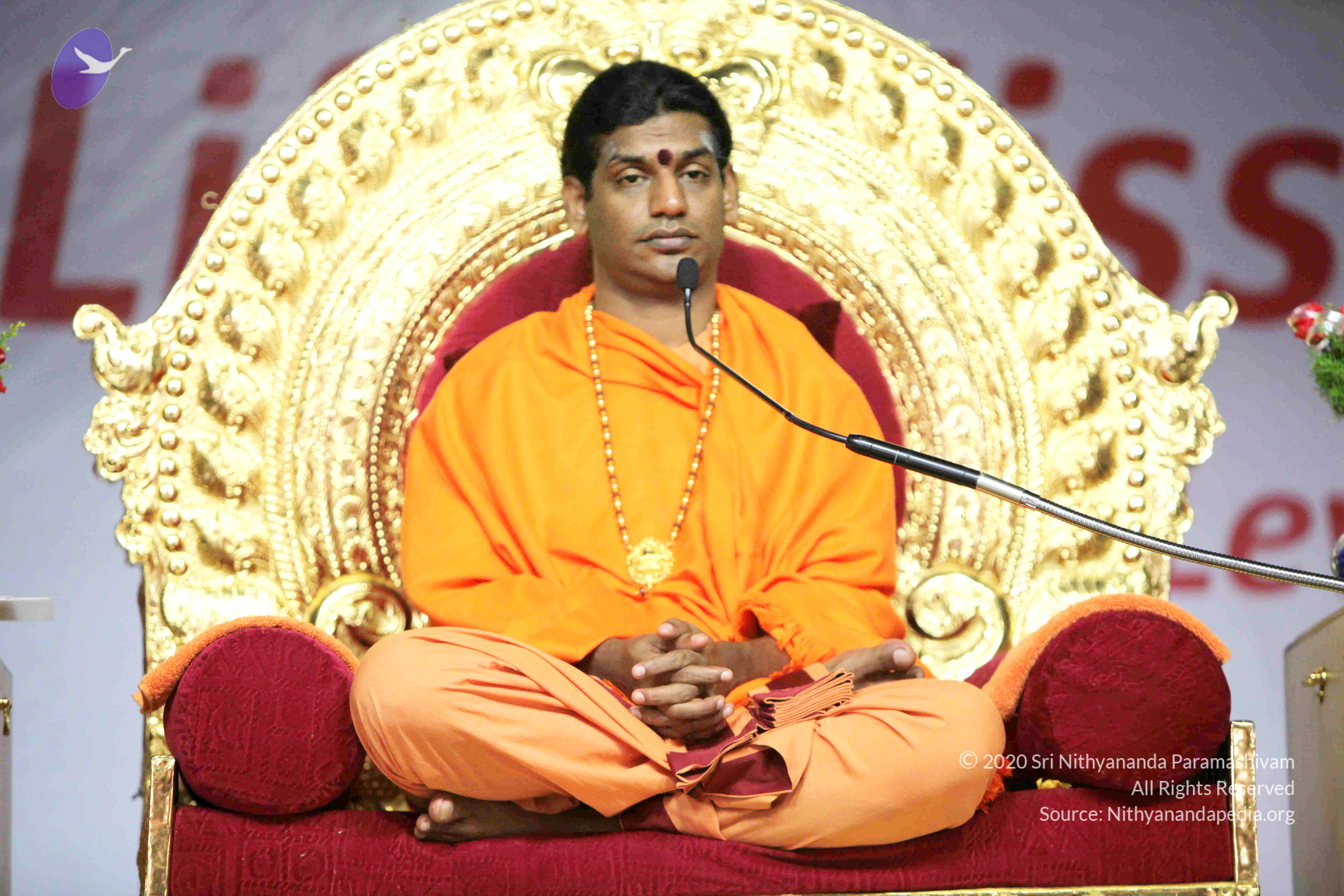 20110121_Photo_1292_IMG_2397_CMP_WM