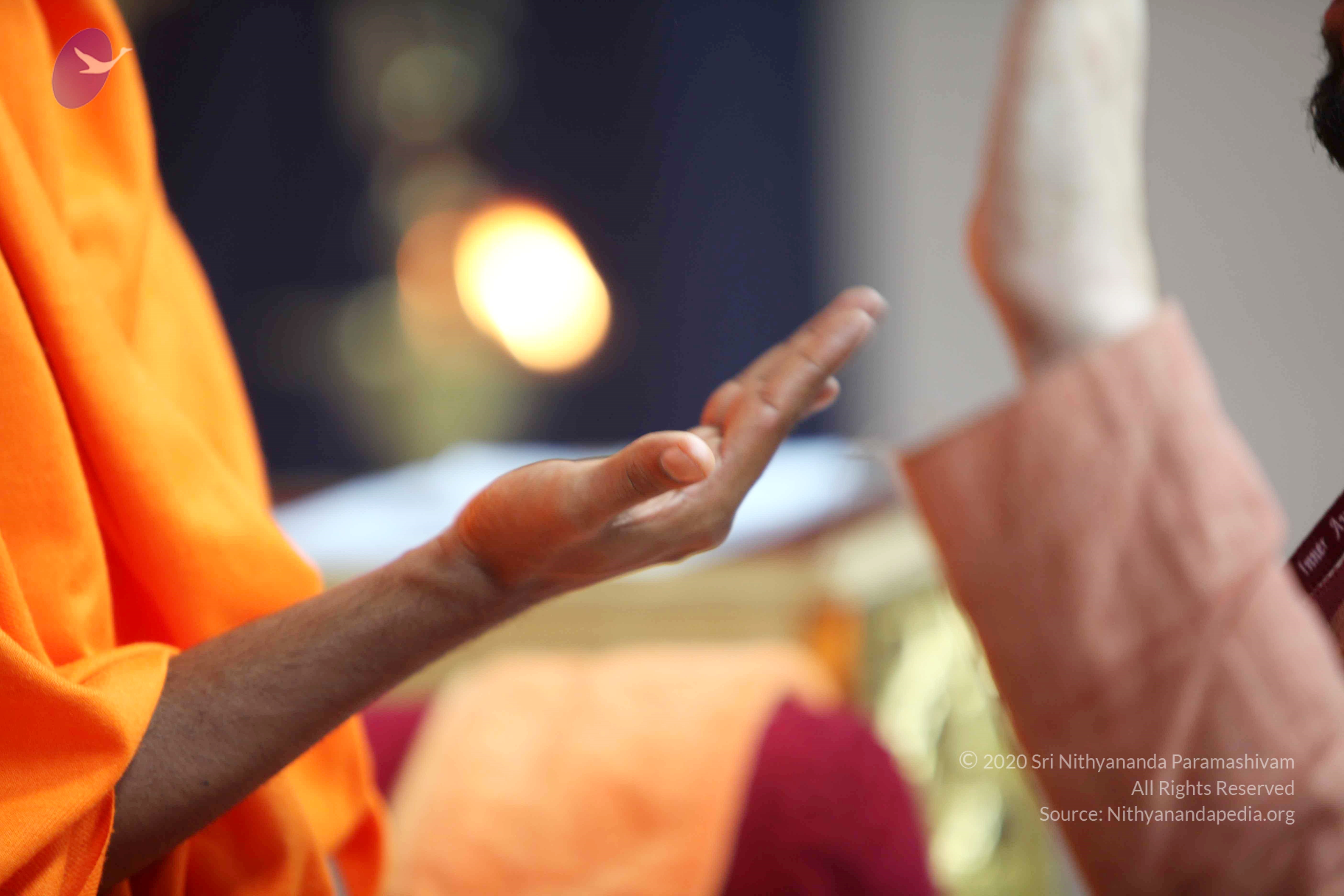 20110121_Photo_1009_IMG_2563_CMP_WM