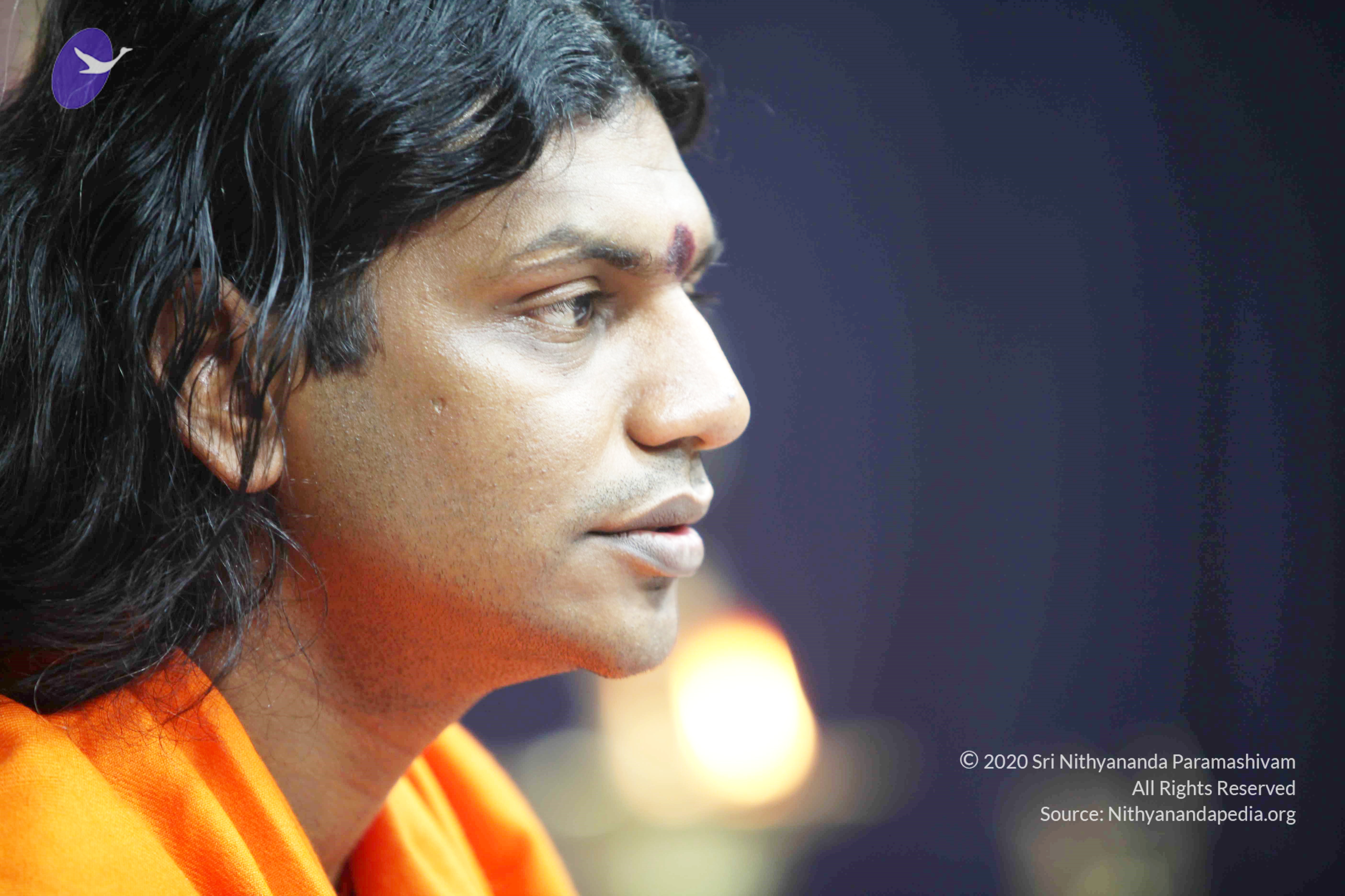 20110121_Photo_1013_IMG_2613_CMP_WM