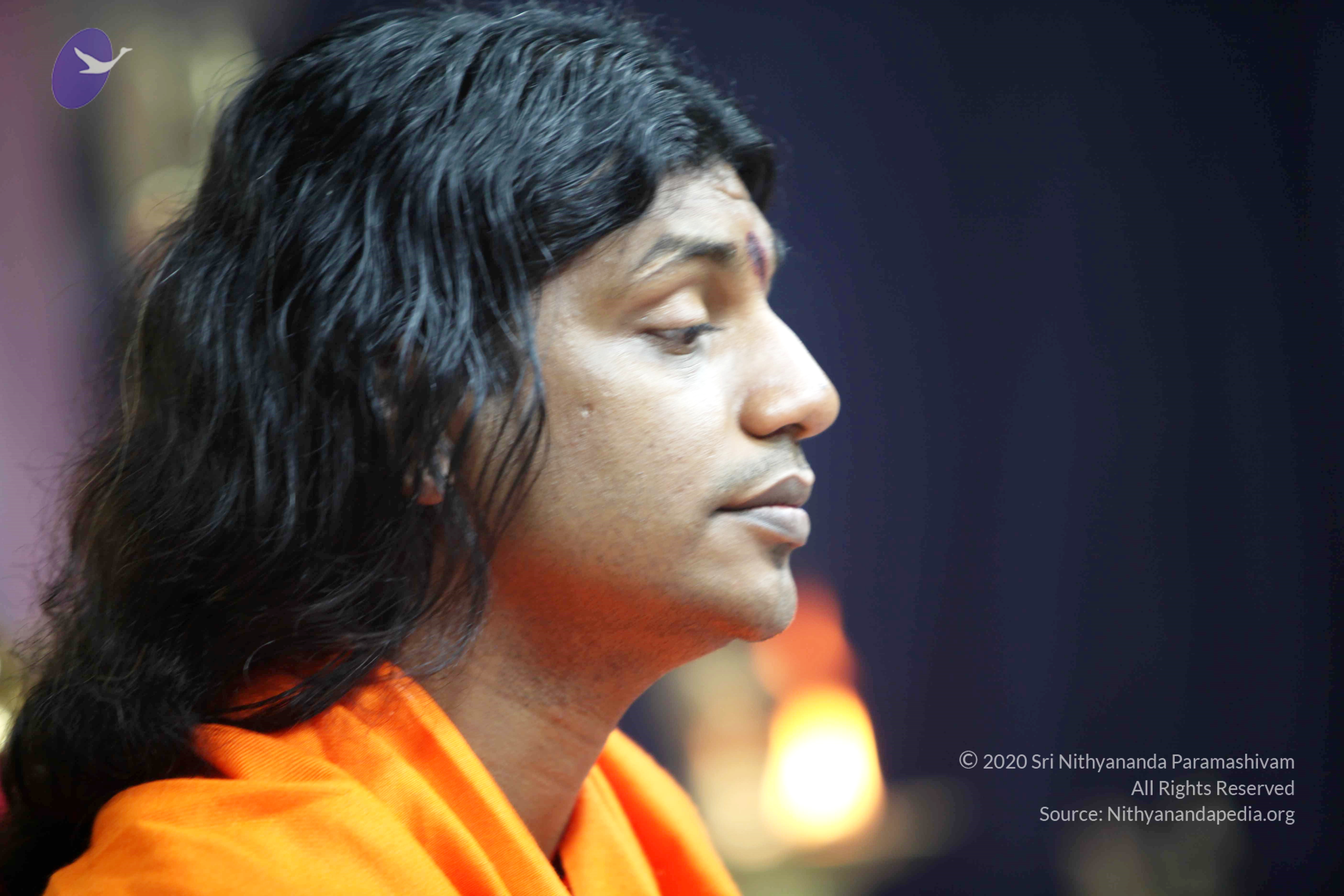 20110121_Photo_1017_IMG_2551_CMP_WM