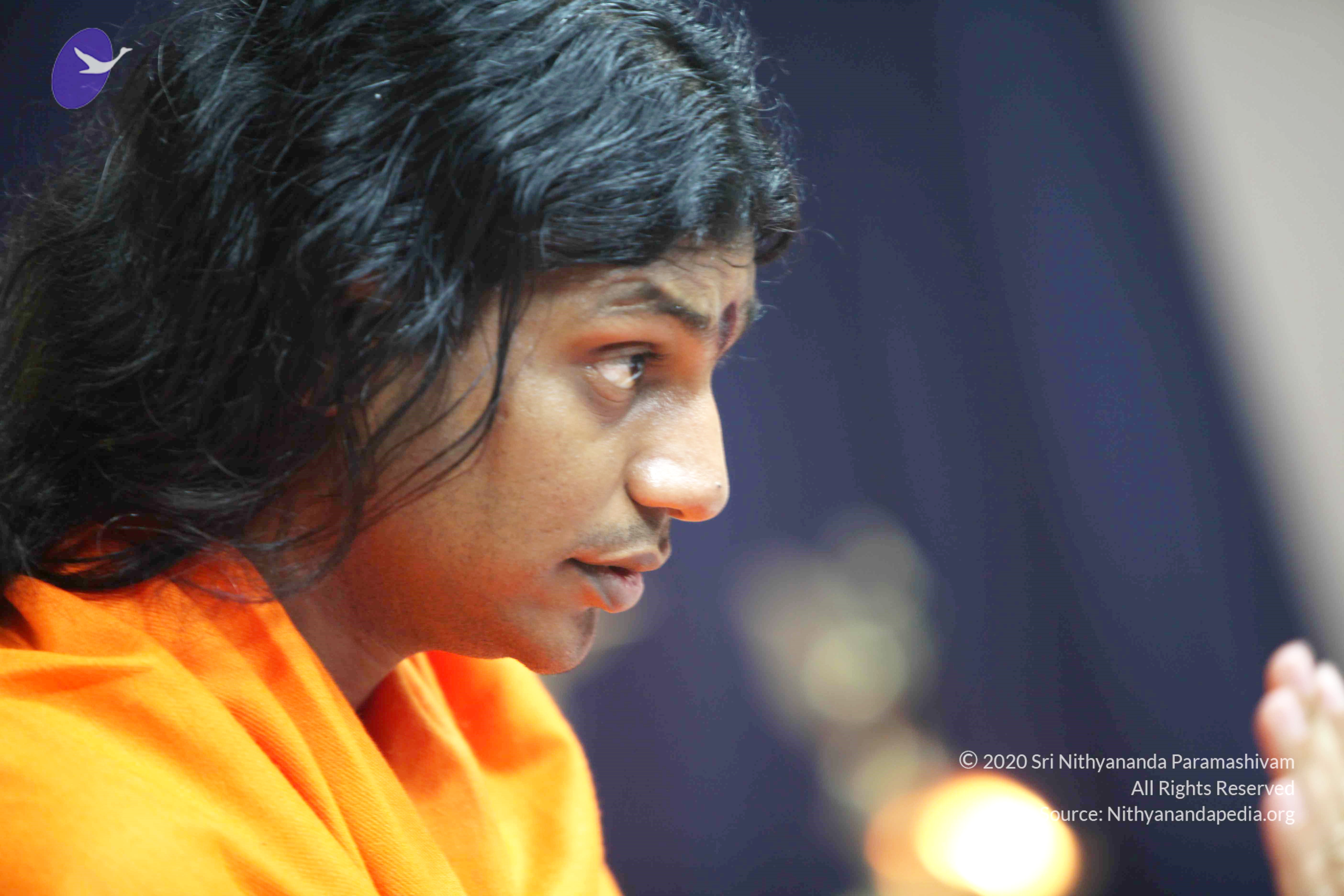 20110121_Photo_1031_IMG_2547_CMP_WM