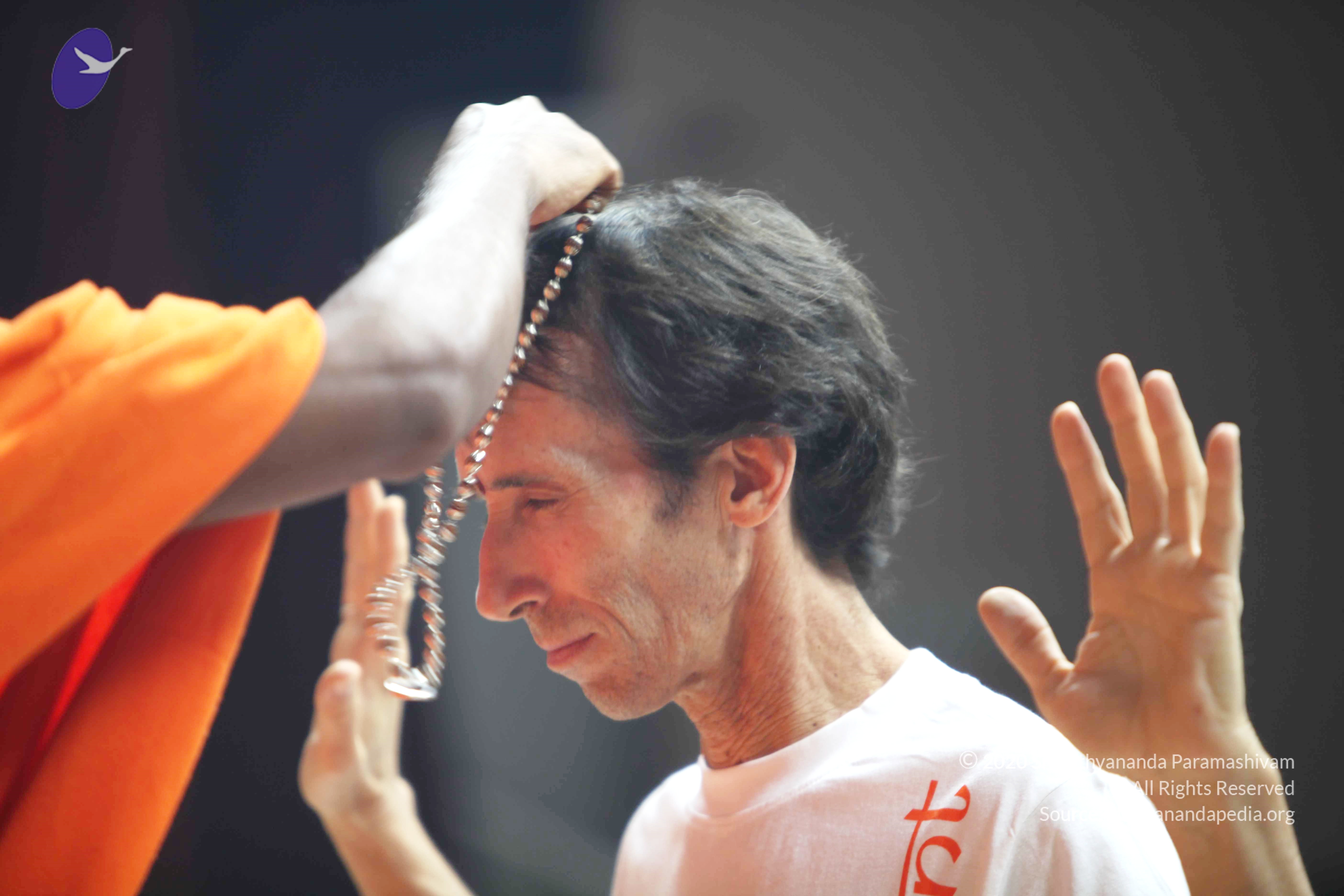 20110121_Photo_1038_IMG_2623_CMP_WM