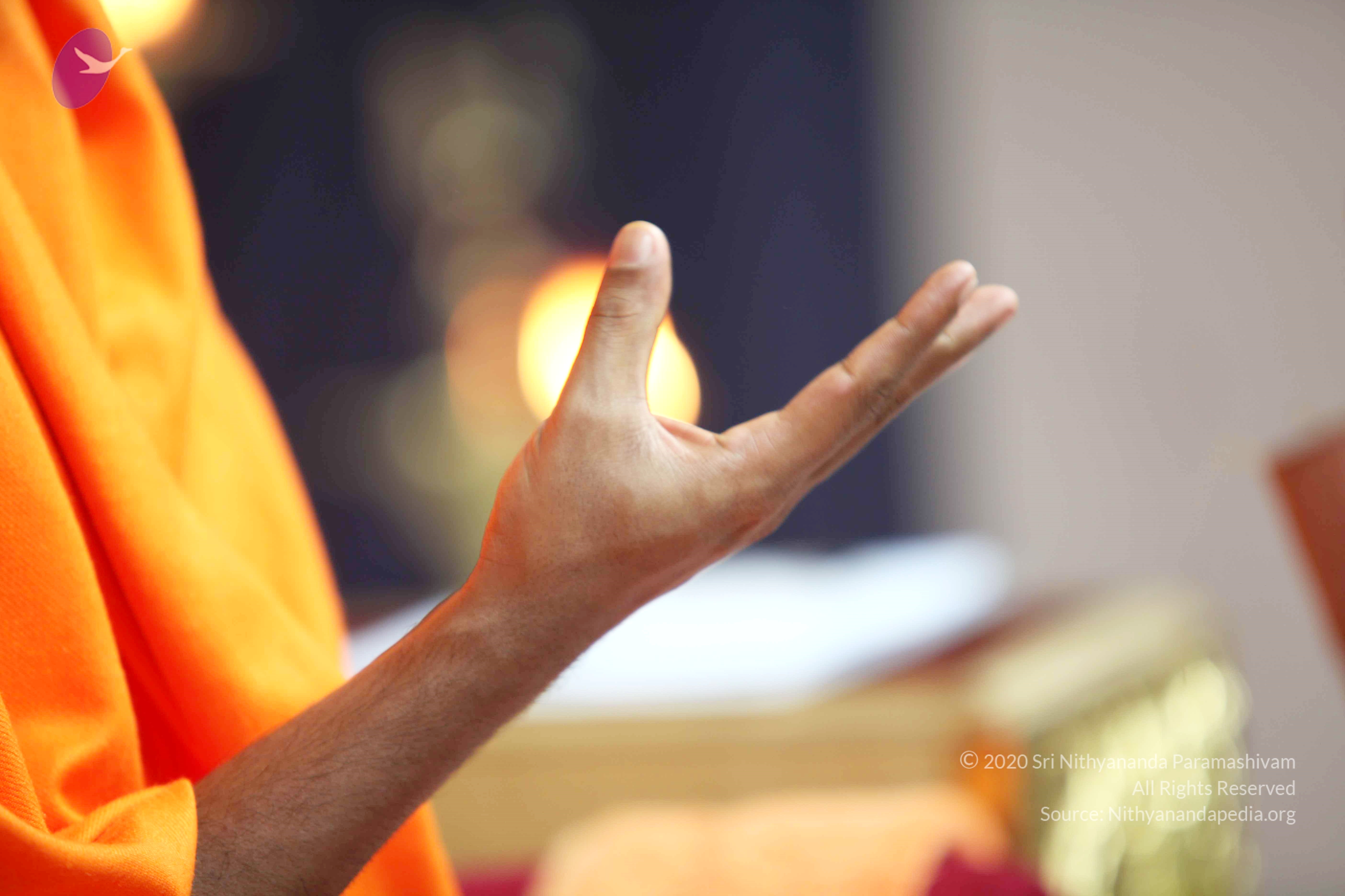 20110121_Photo_1048_IMG_2569_CMP_WM