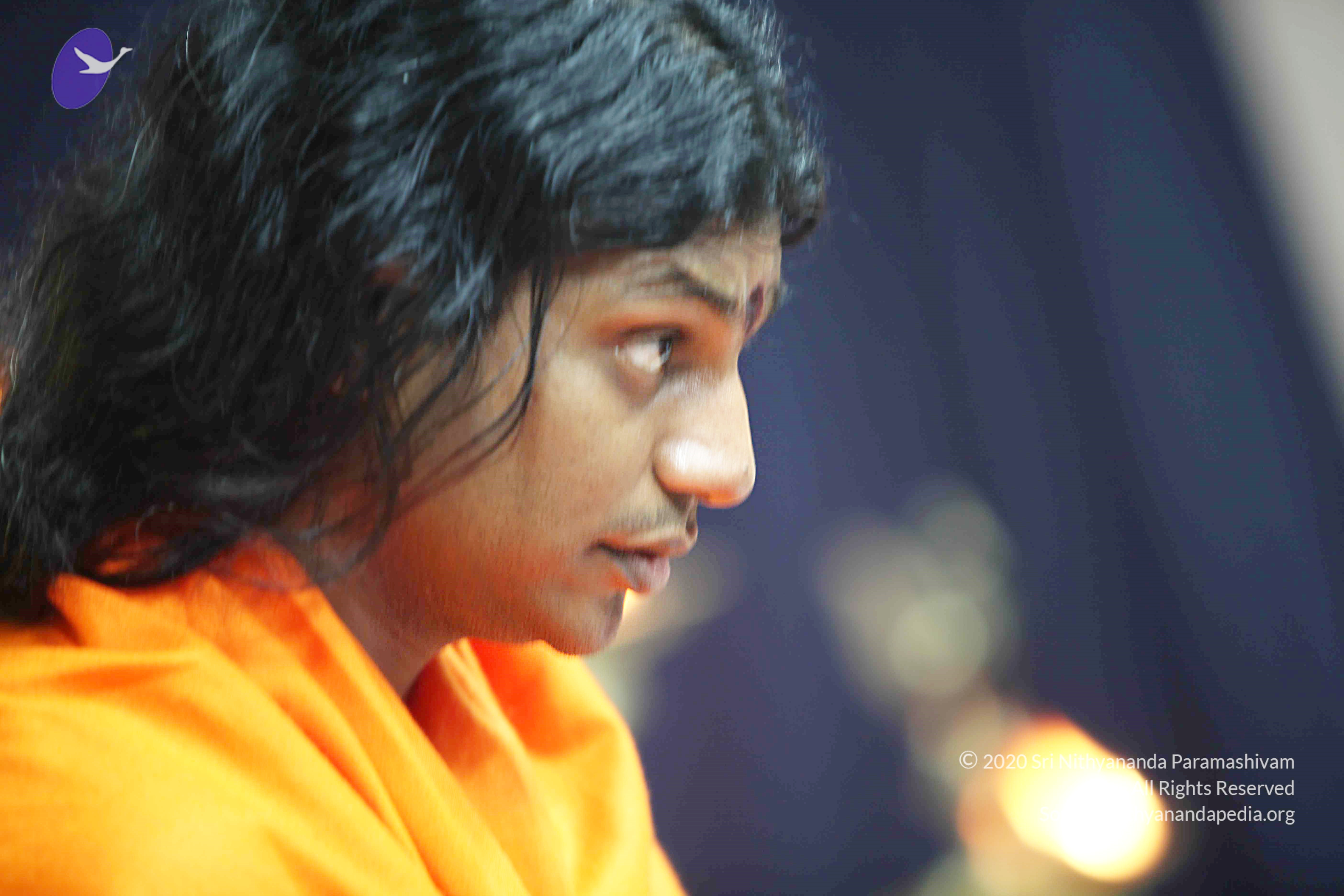 20110121_Photo_1076_IMG_2549_CMP_WM