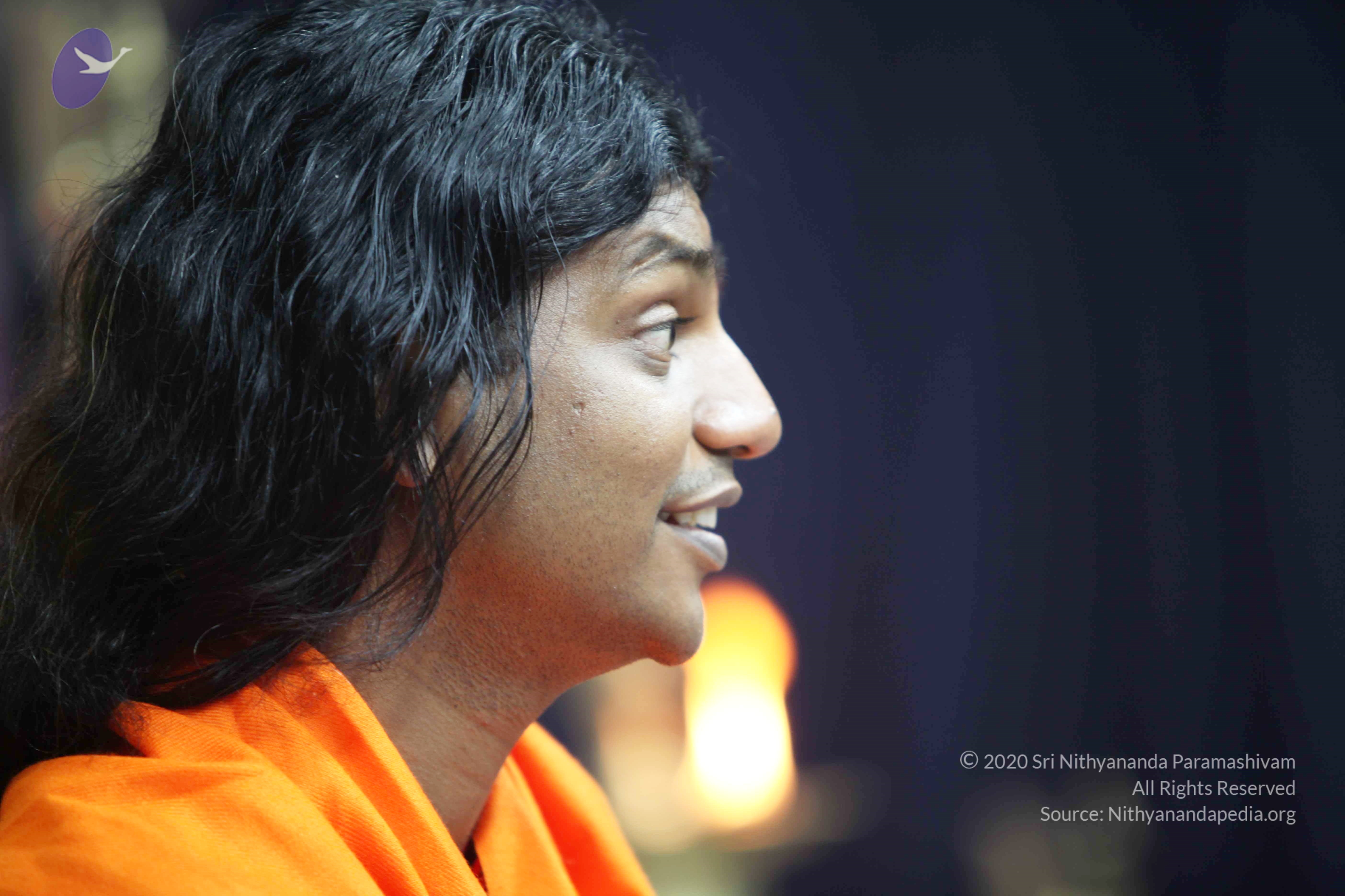 20110121_Photo_1085_IMG_2552_CMP_WM