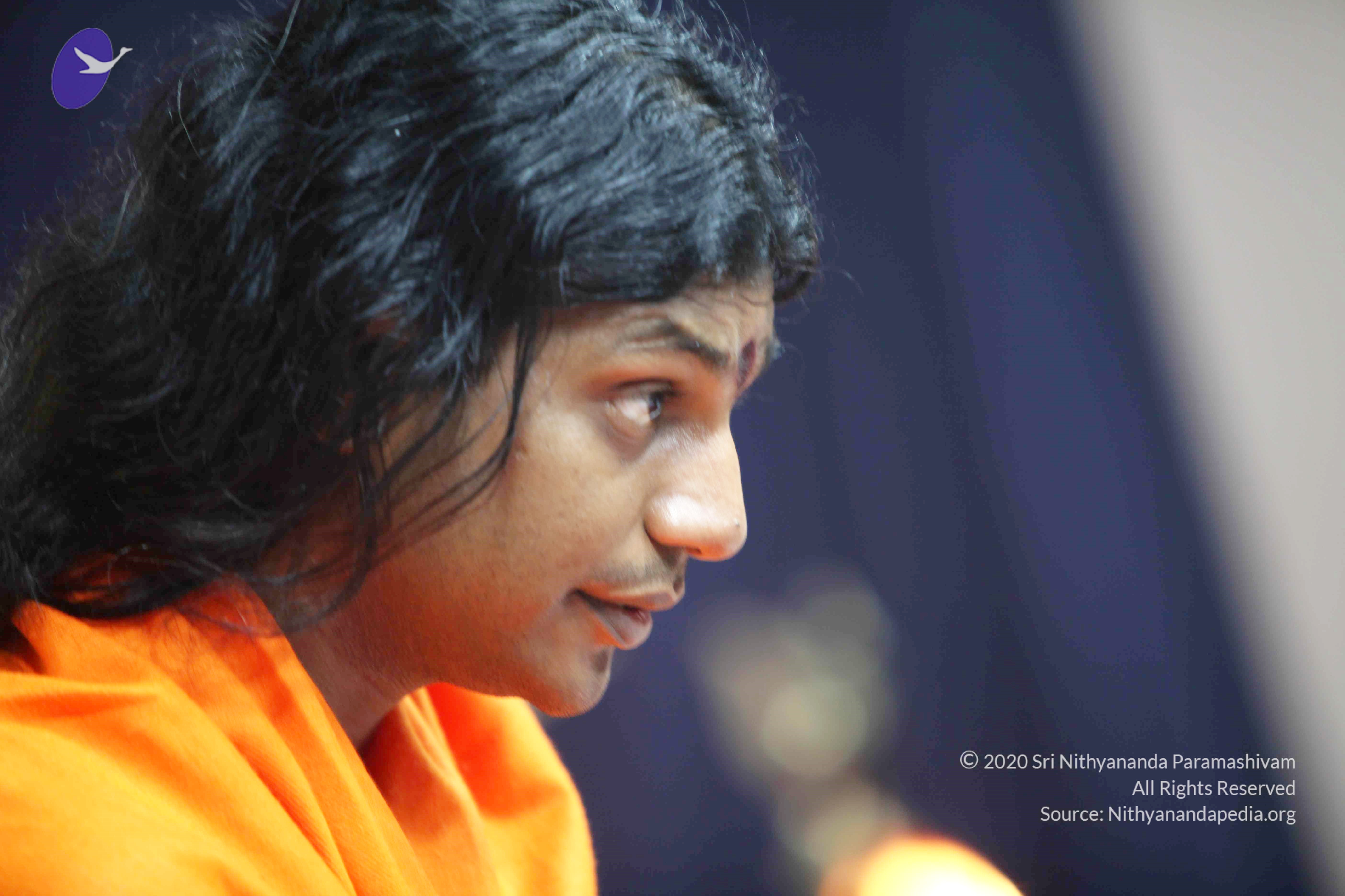 20110121_Photo_1104_IMG_2546_CMP_WM