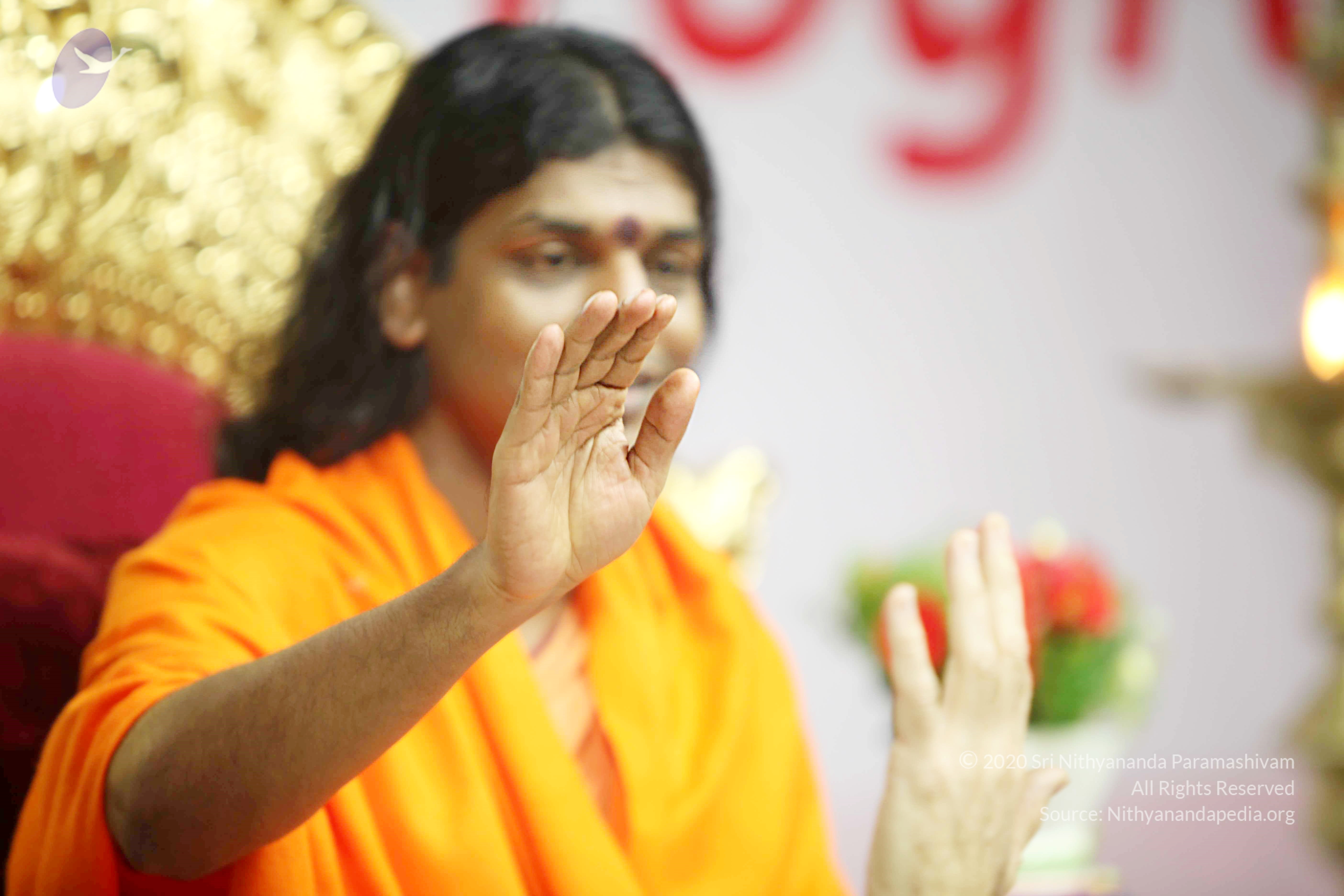 20110121_Photo_1110_IMG_2615_CMP_WM