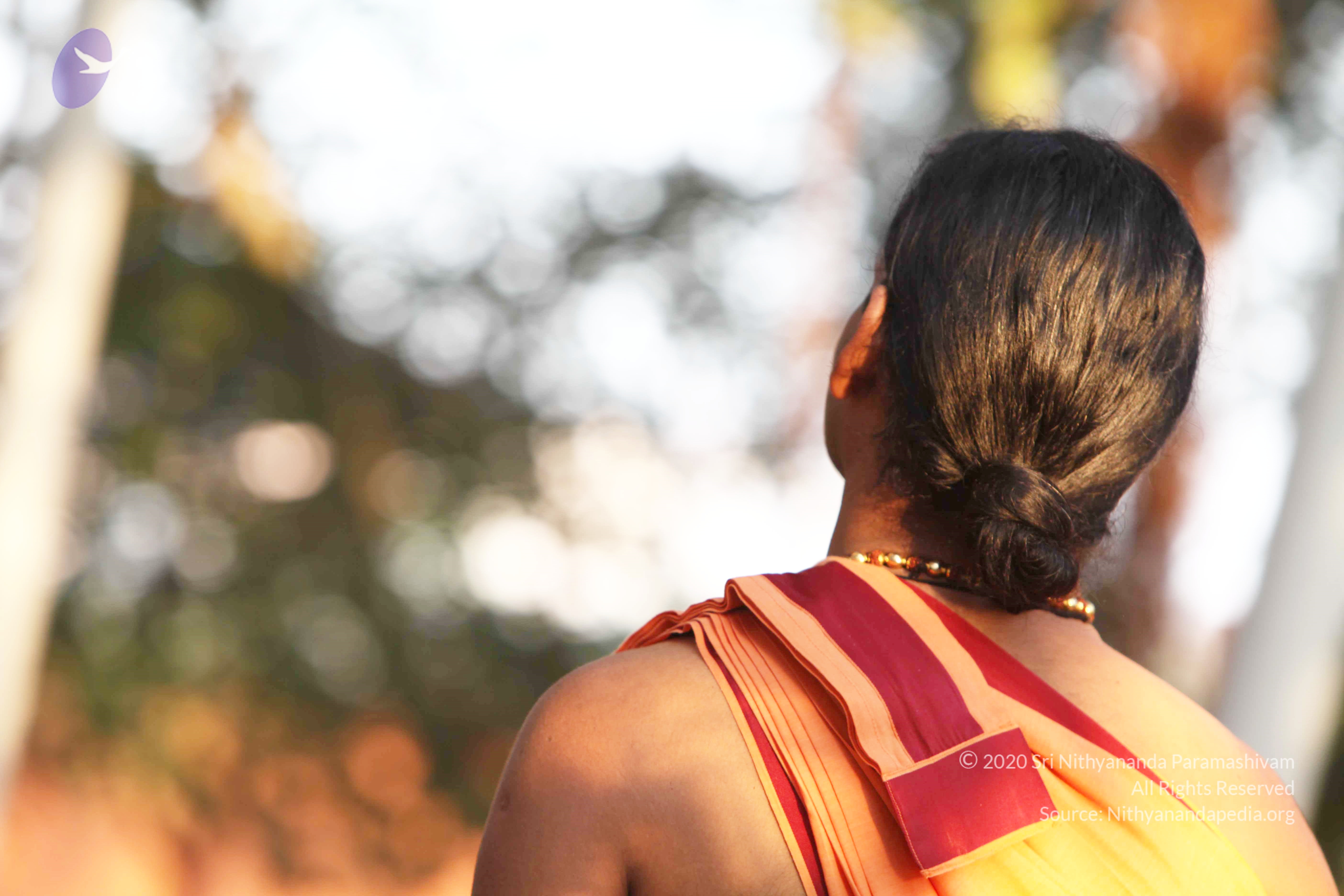 20110121_Photo_1001_IMG_1906_CMP_WM