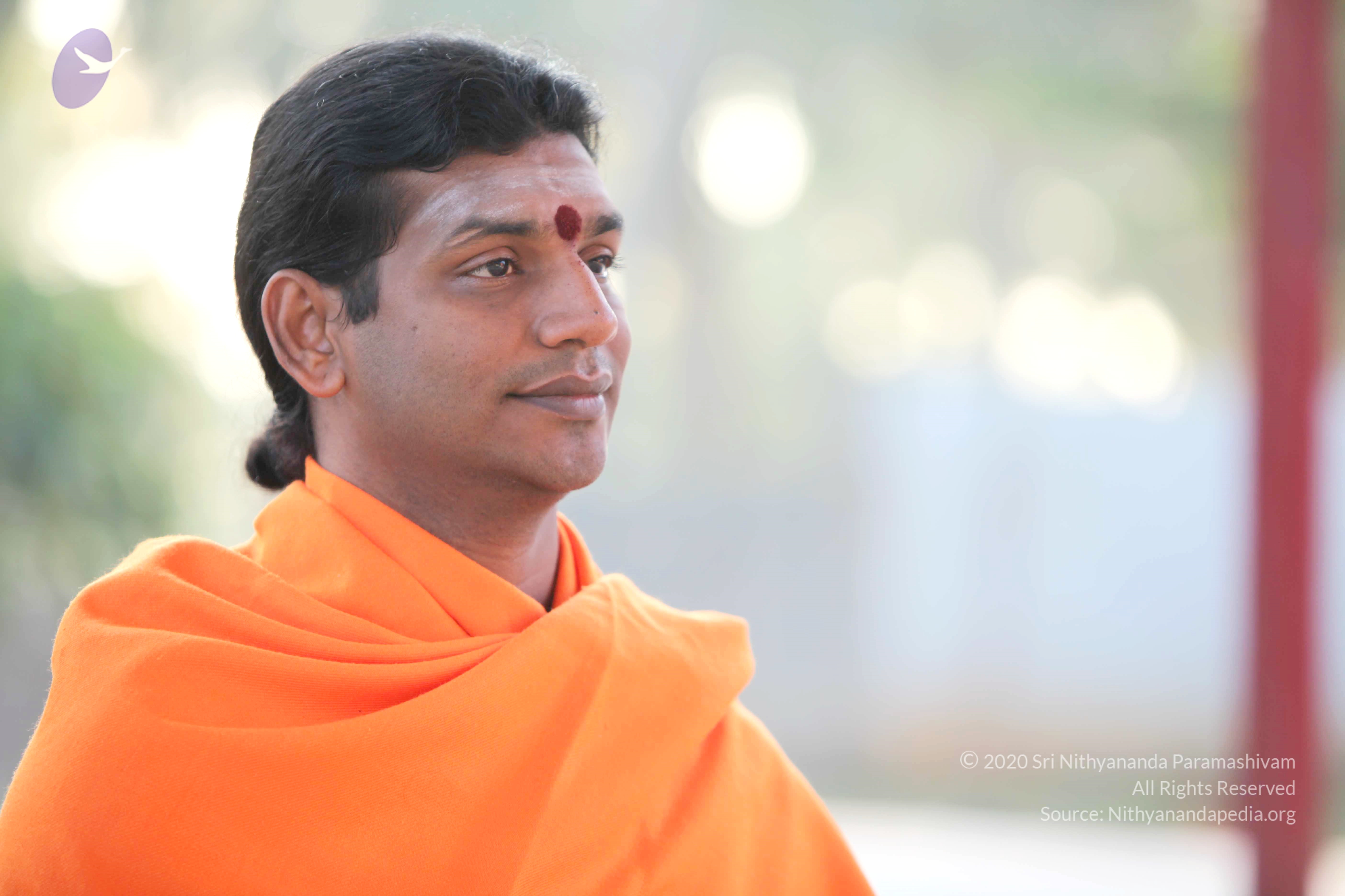 20110121_Photo_1003_IMG_1964_CMP_WM